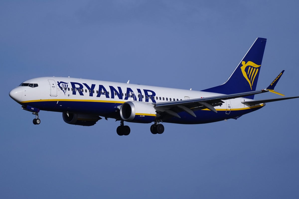 EU entry-exit system has been a ‘shambles’, Ryanair chief says