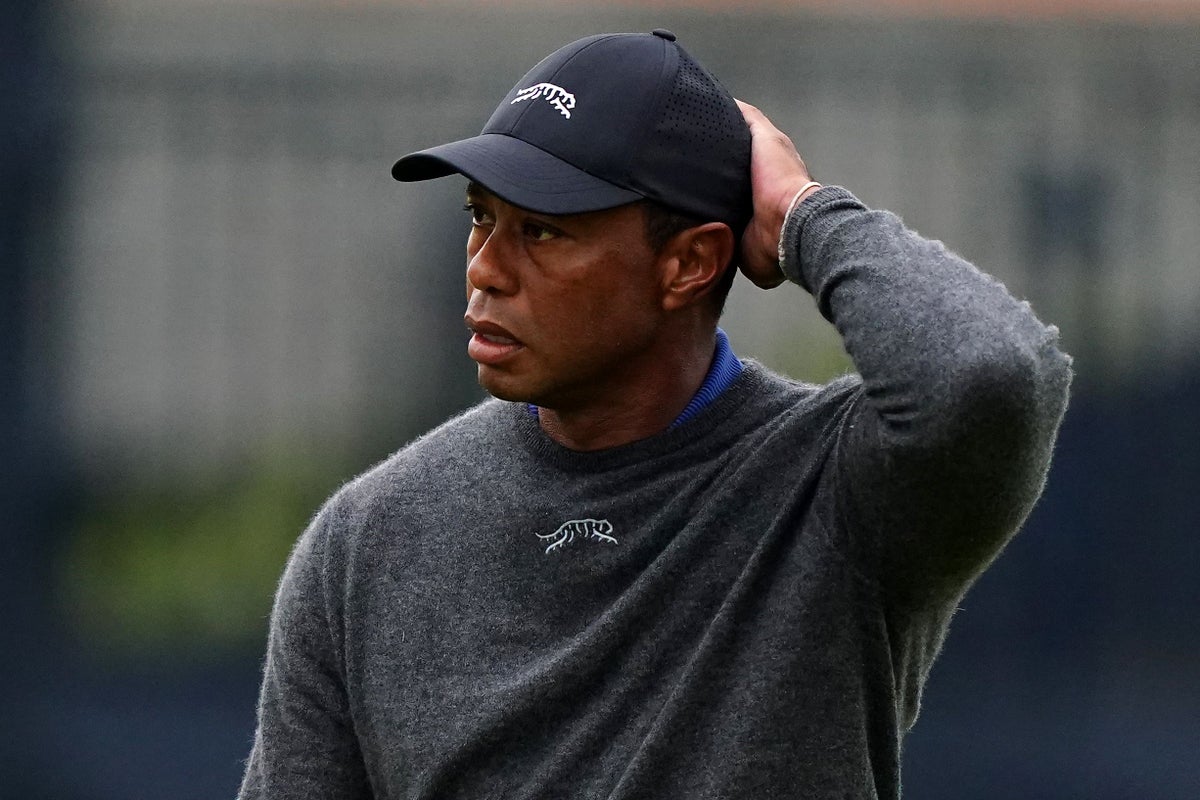 Tiger Woods handed five-year driving ban &ndash; reports