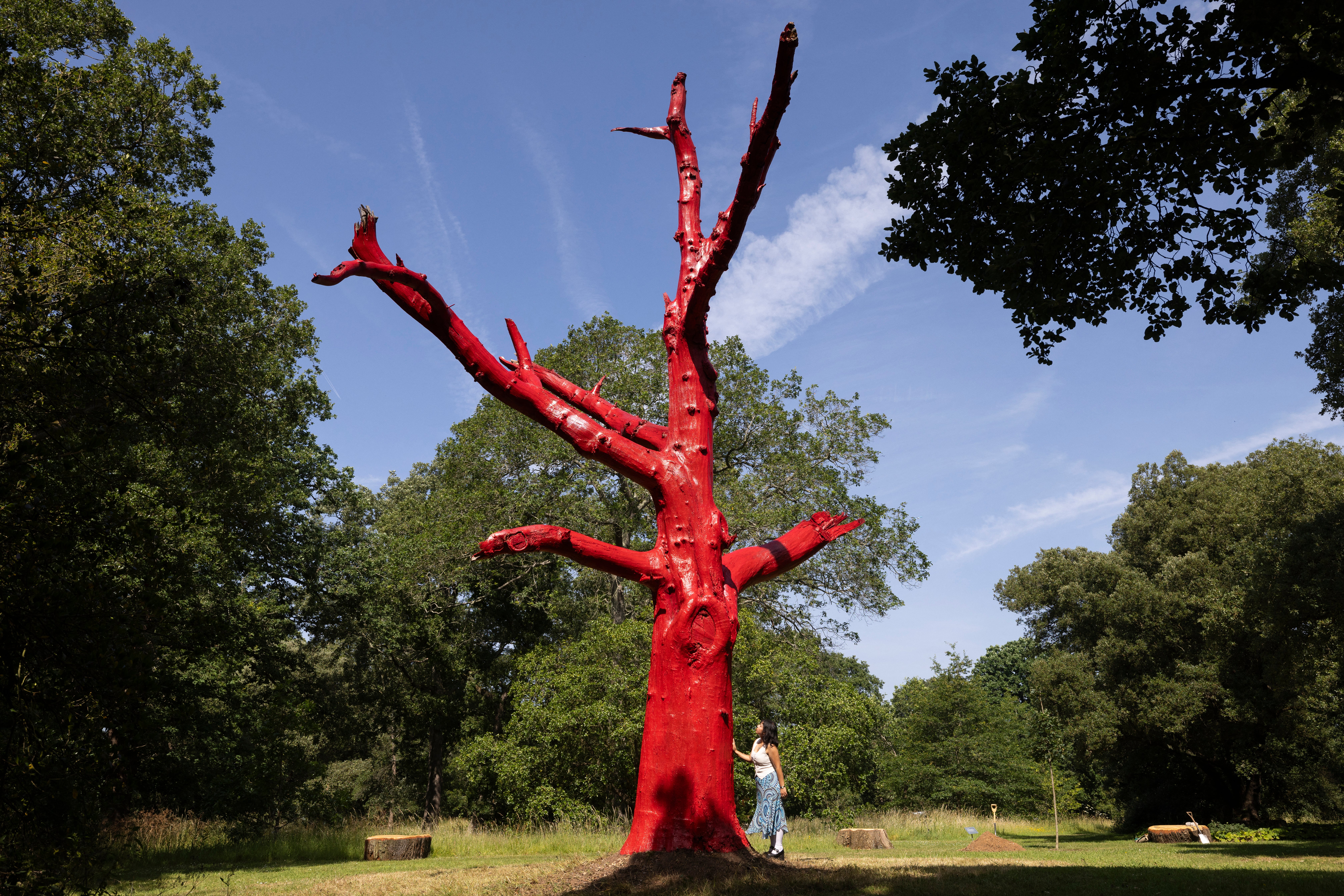 Kew earlier this year paid tribute to trees killed by climate change with this model of a dead oak tree in the heart of Kew Gardens, painted red to reflect rising global temperatures. The Tree is one of 400 which died during the drought of summer 2022, when the UK temperature hit 40°C for the first time in recorded history