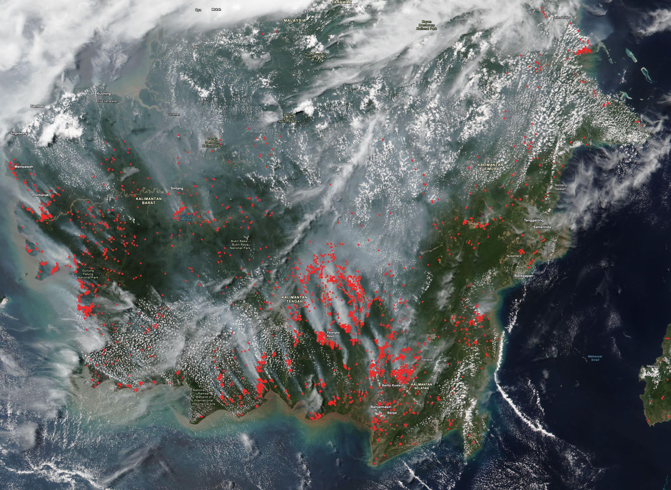 Red dots show active fires in the region that is a natural habitat for wild Bornean orangutans