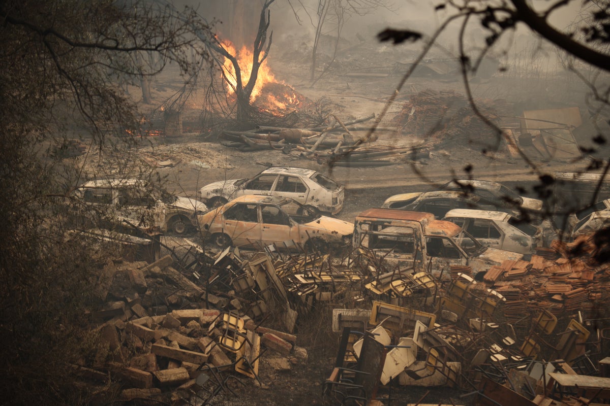 Algeria Faces Severe Wildfires as President Tebboune Proposes Stricter Penalties for Arson