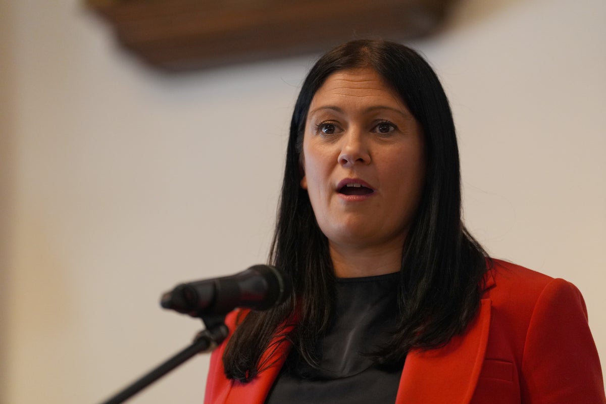Lisa Nandy to meet TikTok amid ‘epidemic’ of dangerous behaviour on social media