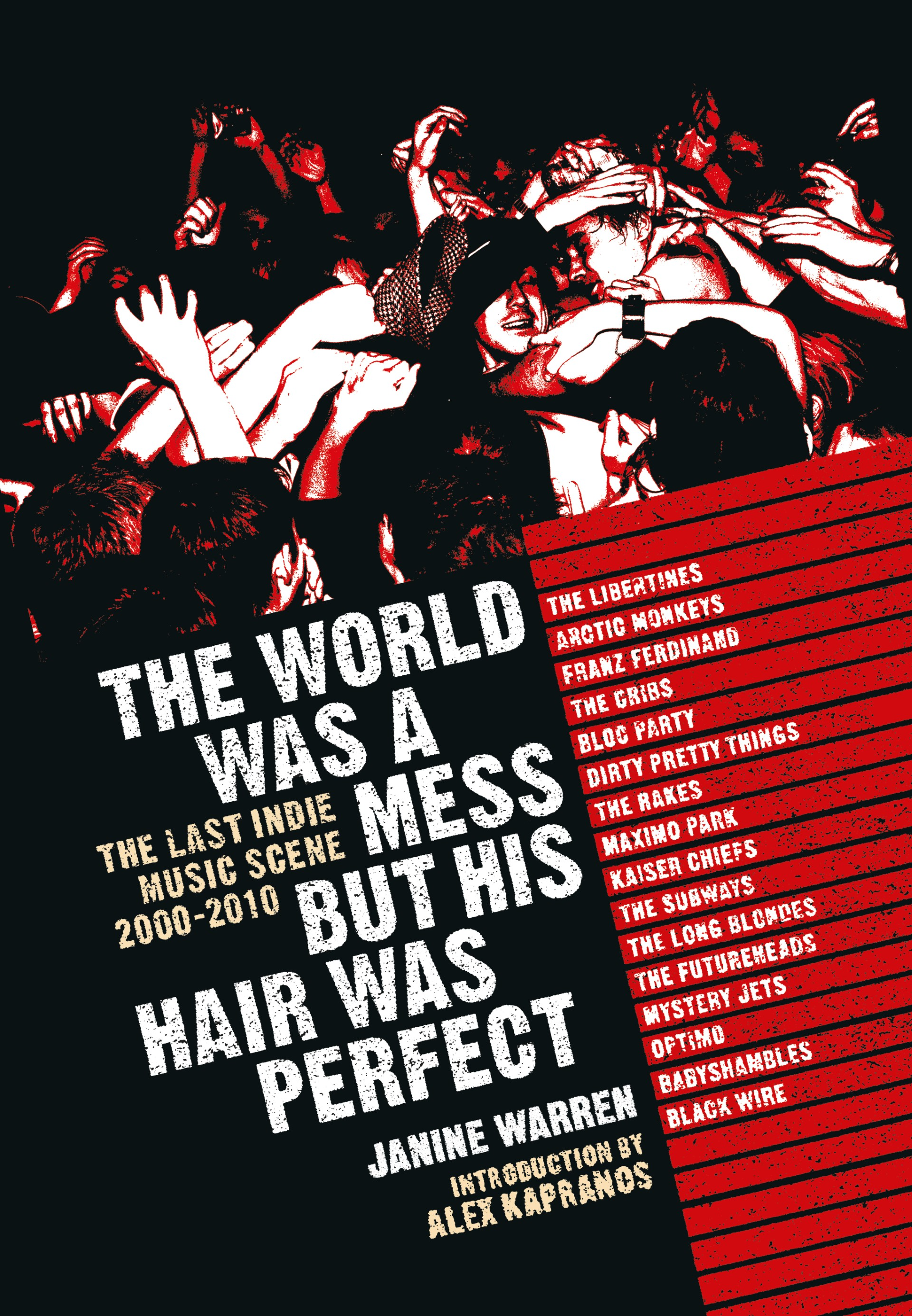 Cover art for Janine Warren's 'The World Was a Mess But His Hair Was Perfect'