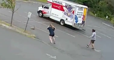 Mystery animal terrorizing neighborhood in New Hampshire after third attack in less than two days is reported