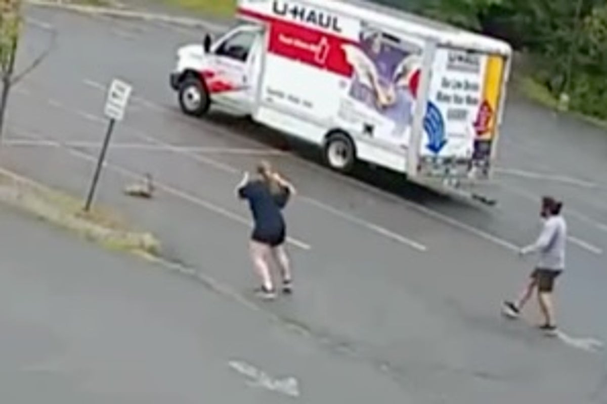 Mystery animal terrorizing neighborhood in New Hampshire after third attack in less than two days is reported