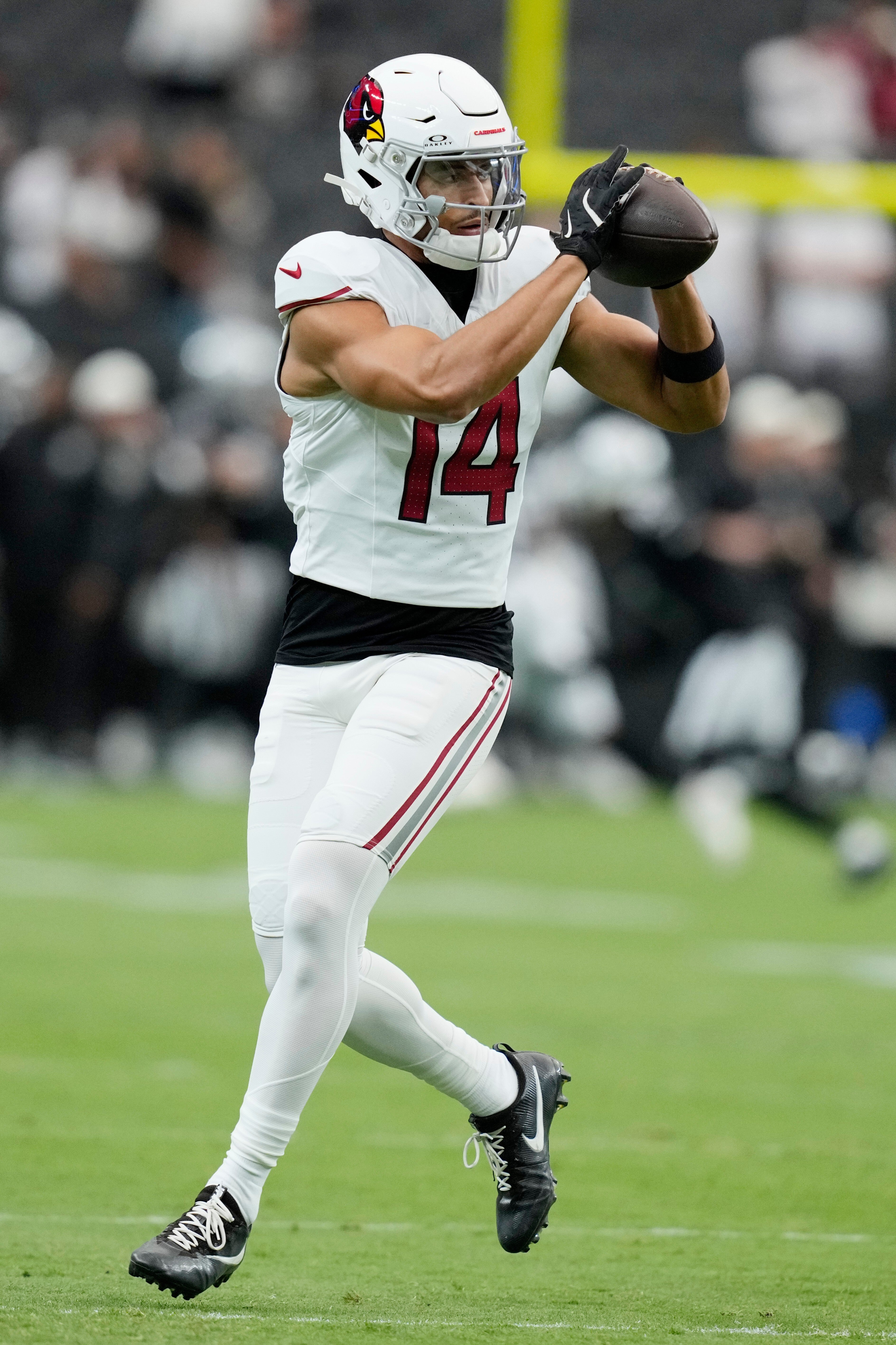 CARDINALS-WILSON