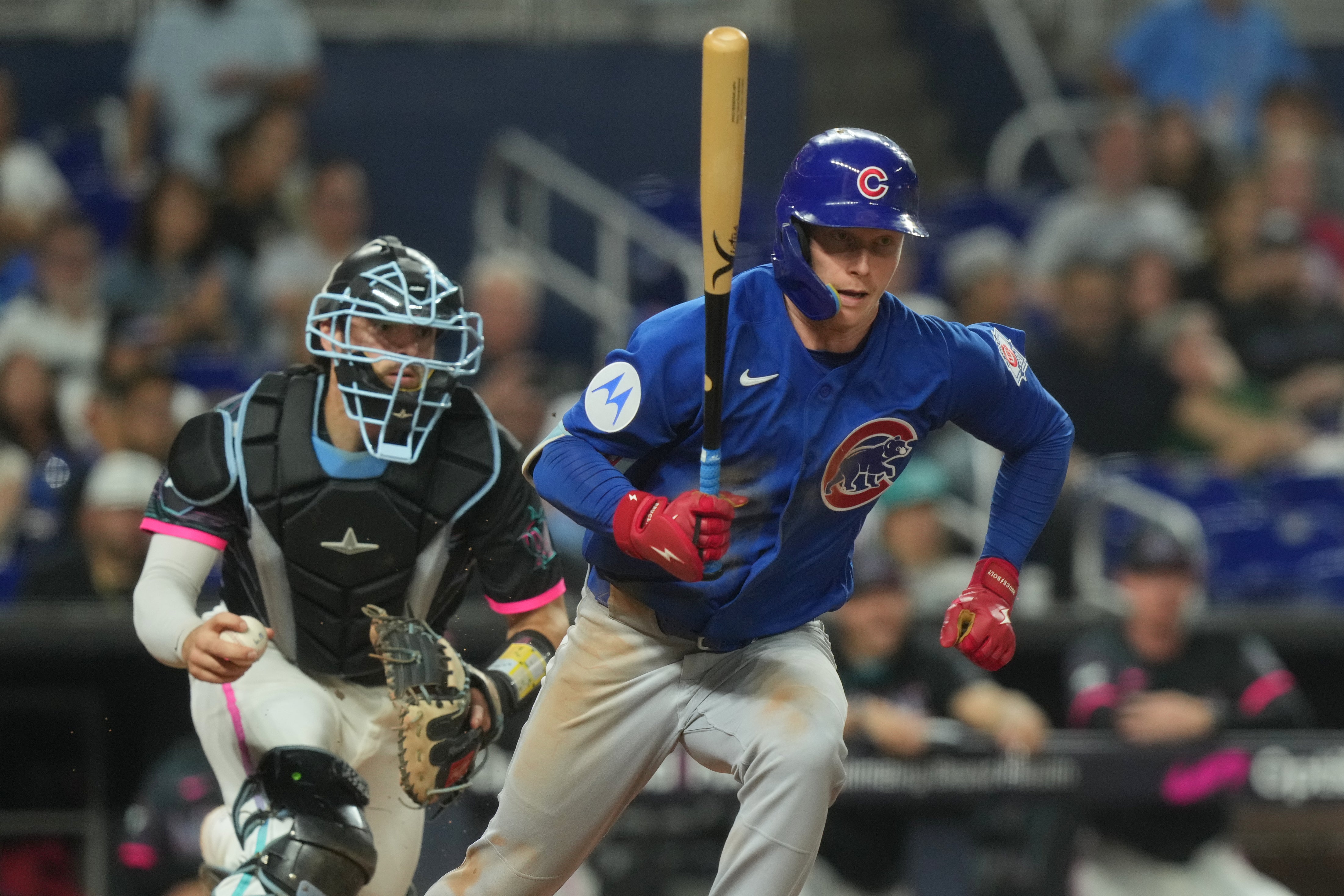 CACHORROS-MARLINS