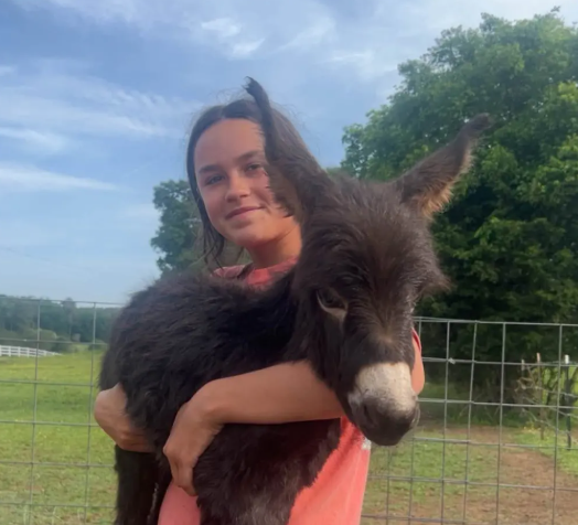 Georgia cop reveals why he shot dead a family&rsquo;s pet donkey