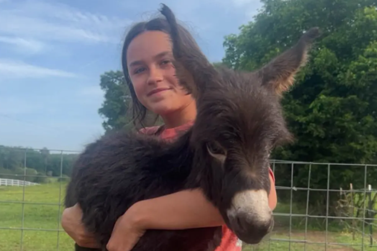 Georgia cop reveals why he shot dead a family’s pet donkey Georgia cop reveals why he shot dead a family’s pet donkey