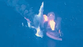 Iran-US war latest: Tehran retaliates after US strikes three Iranian oil tankers as conflict intensifies