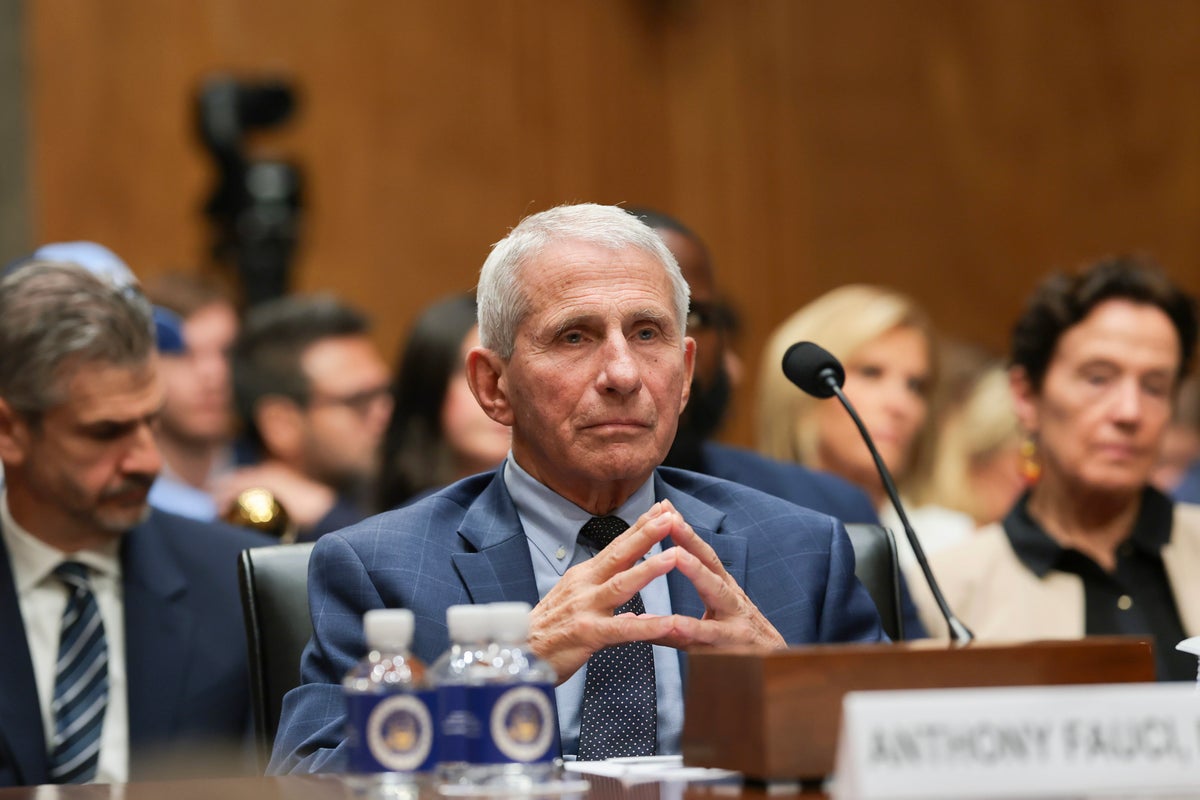 Inside the Trump FBI push to investigate Fauci and find evidence Covid came from a Chinese lab Inside the Trump FBI push to investigate Fauci and find evidence Covid came from a Chinese lab