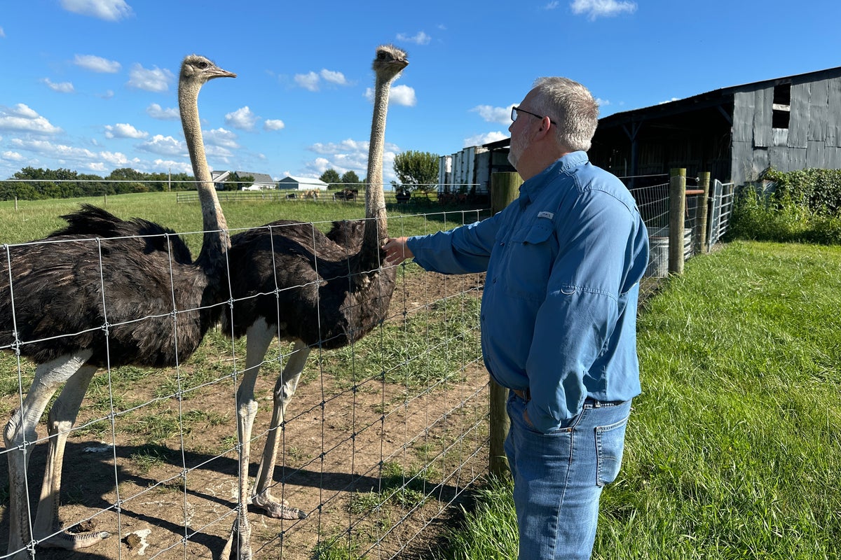 Kentucky man turns to ostrich farming after developing red meat allergy