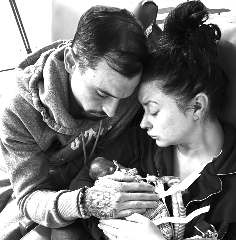 Married At First Sight star Holly Ditchfield announces death of newborn twins