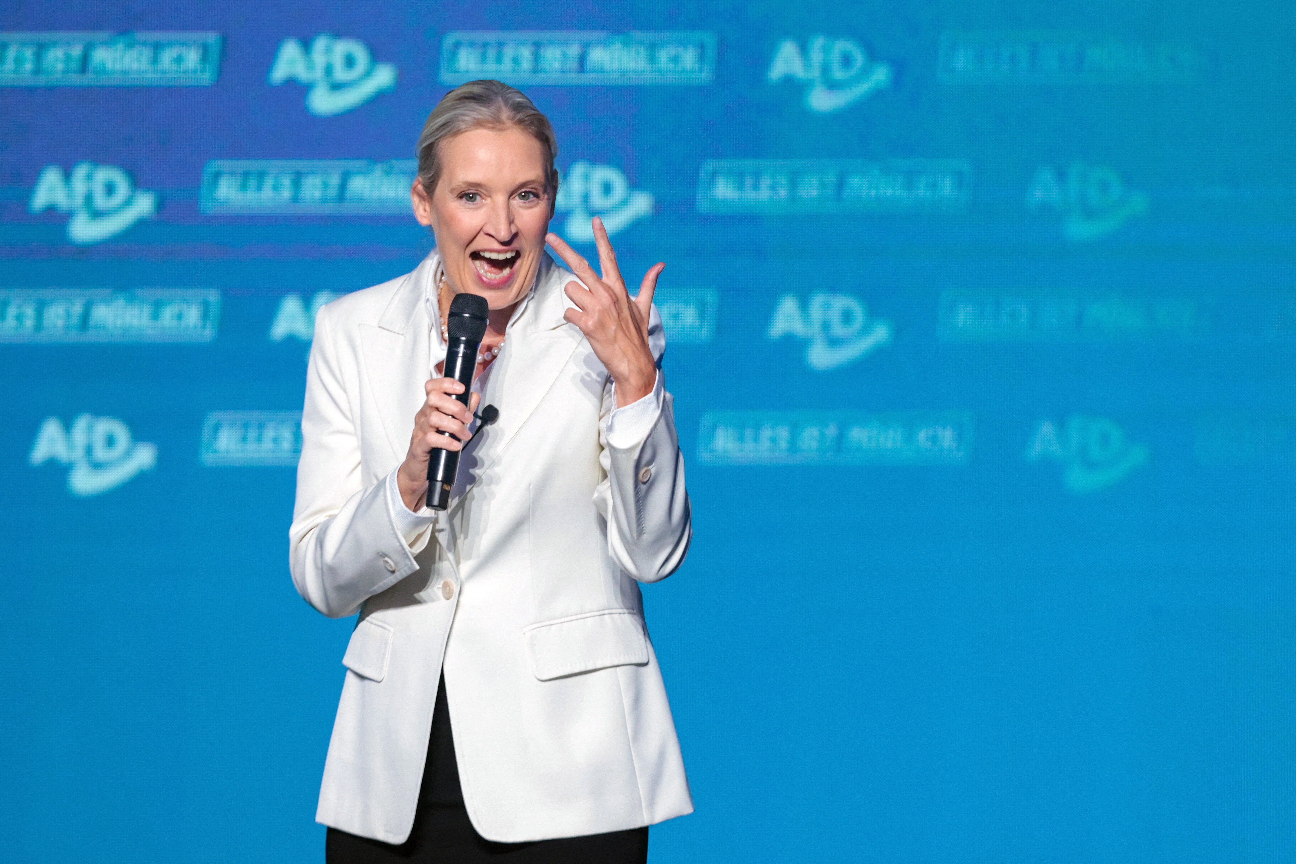 Alternative for Germany (AfD) co-leader Alice Weidel