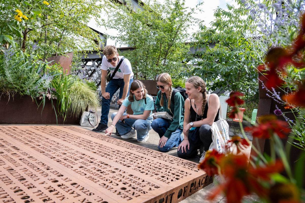 You Won't Believe the Surge in Young People Joining Conservation Efforts!