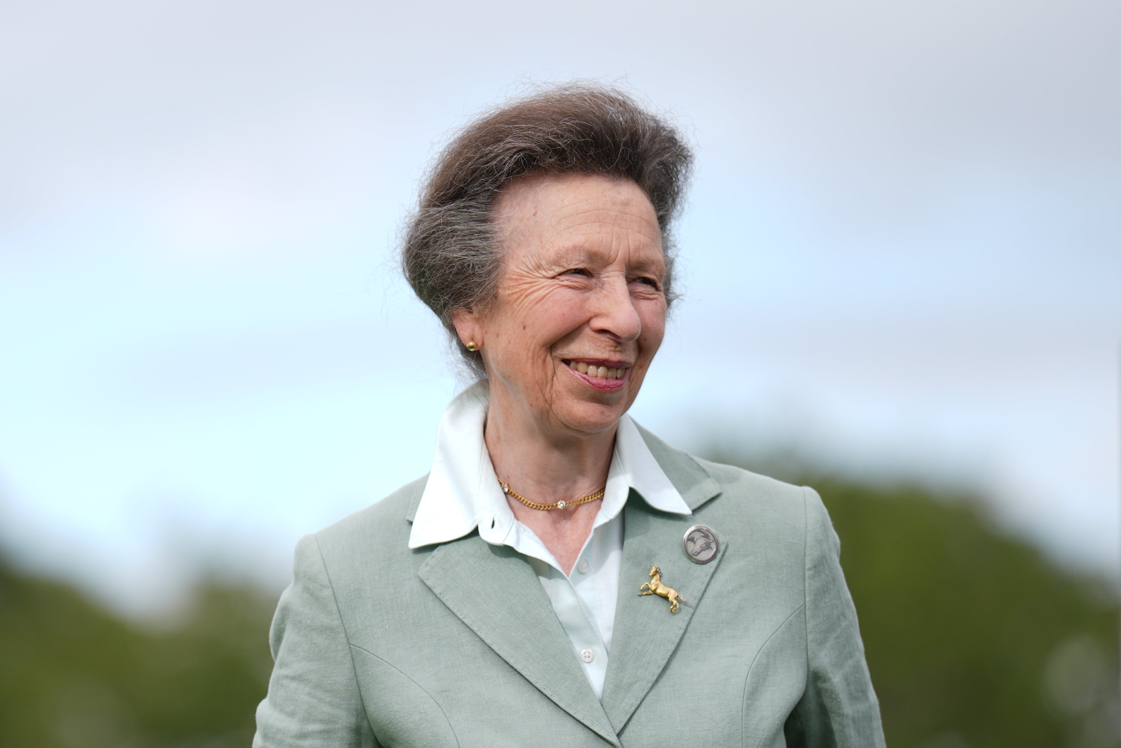 The Princess Royal has also had a busy year - with 183 engagements listed for the past 12 months