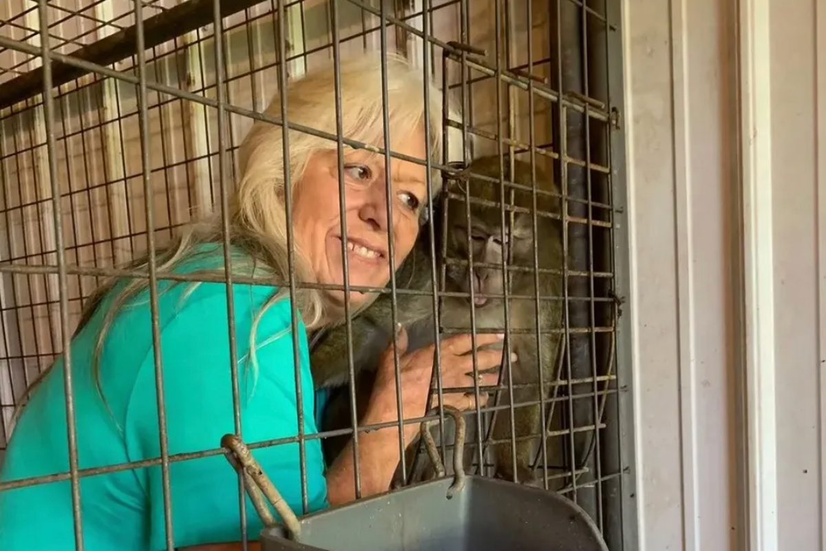 Missouri foster mother escapes jail time after ‘swapping’ a teenage girl for a monkey Missouri foster mother escapes jail time after ‘swapping’ a teenage girl for a monkey