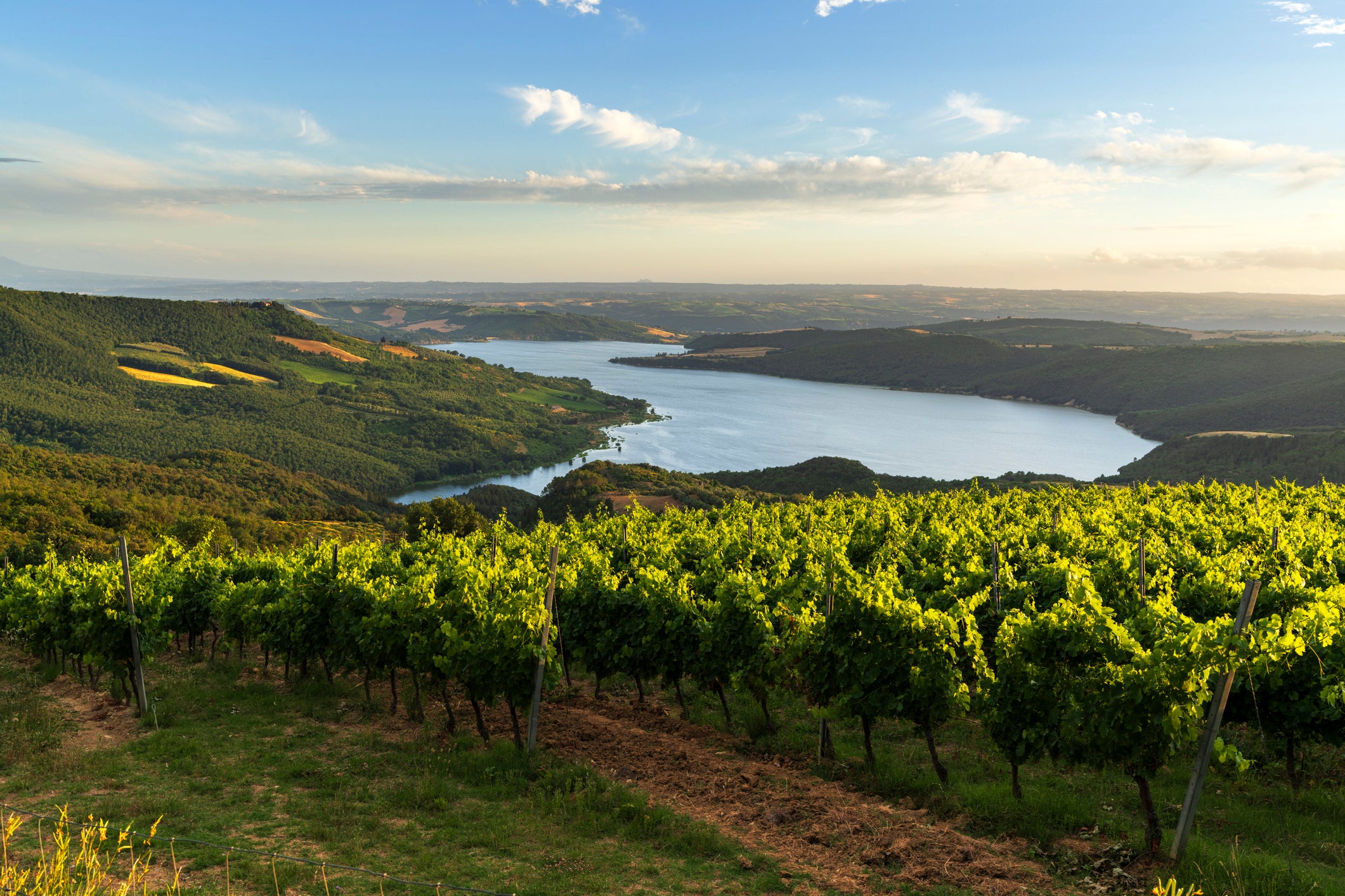Orvieto's calling card is its white wine