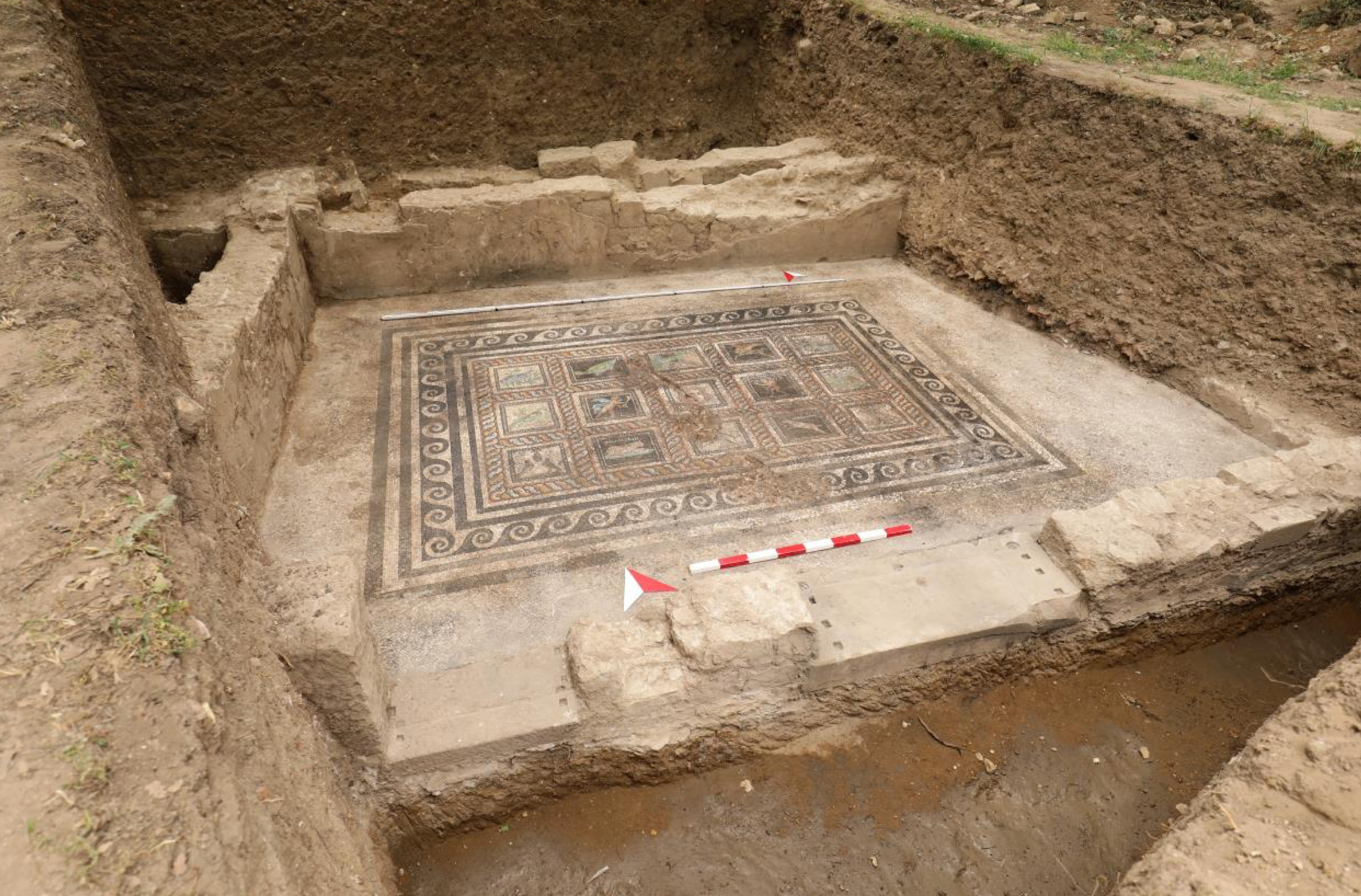Colourful floor mosaic in Roman-era villa at Adramytteion