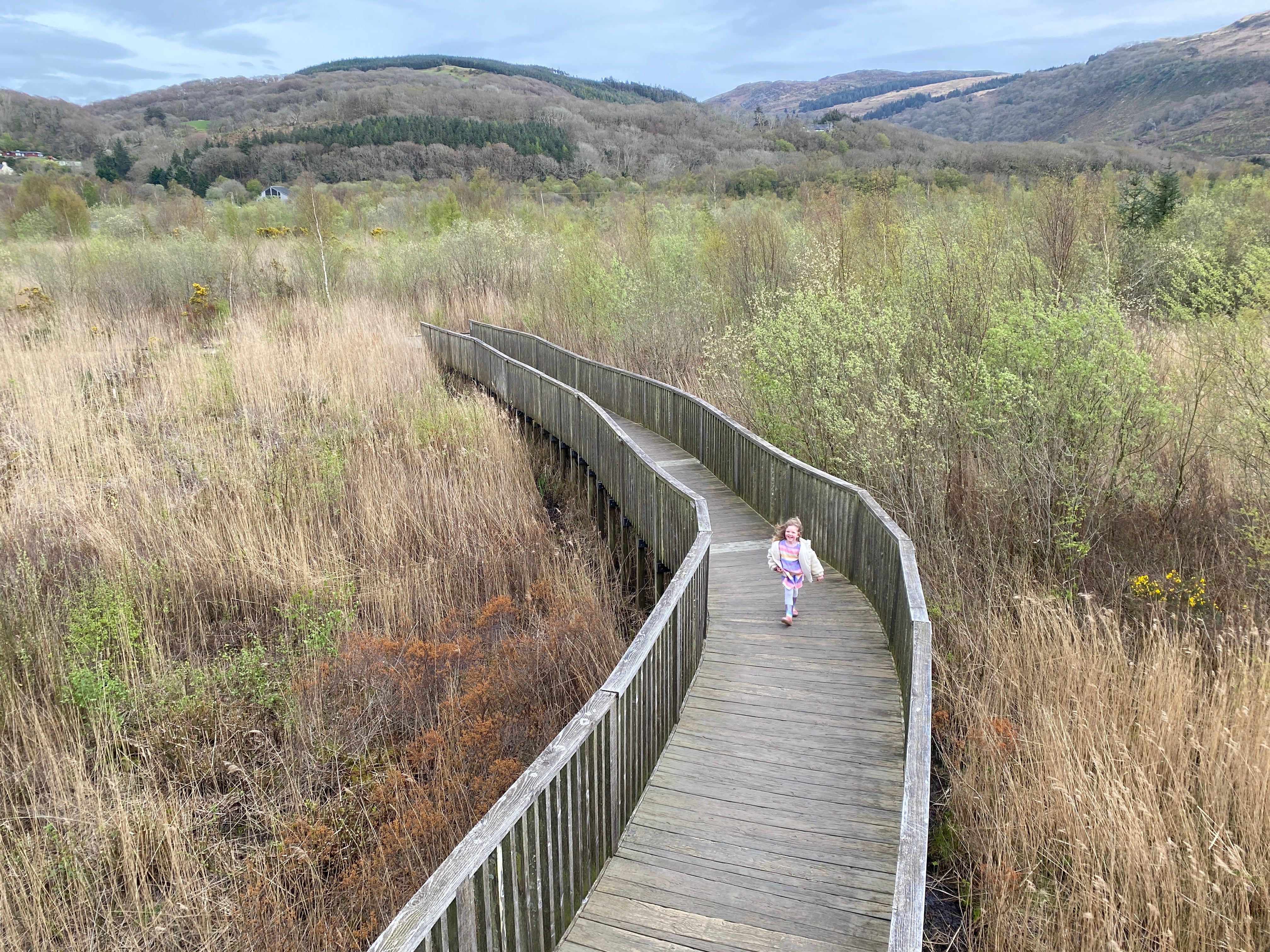 Writer Nick Willis' daughter walks along a boardwalk in Dyfi Osprey Project in Eryri national park