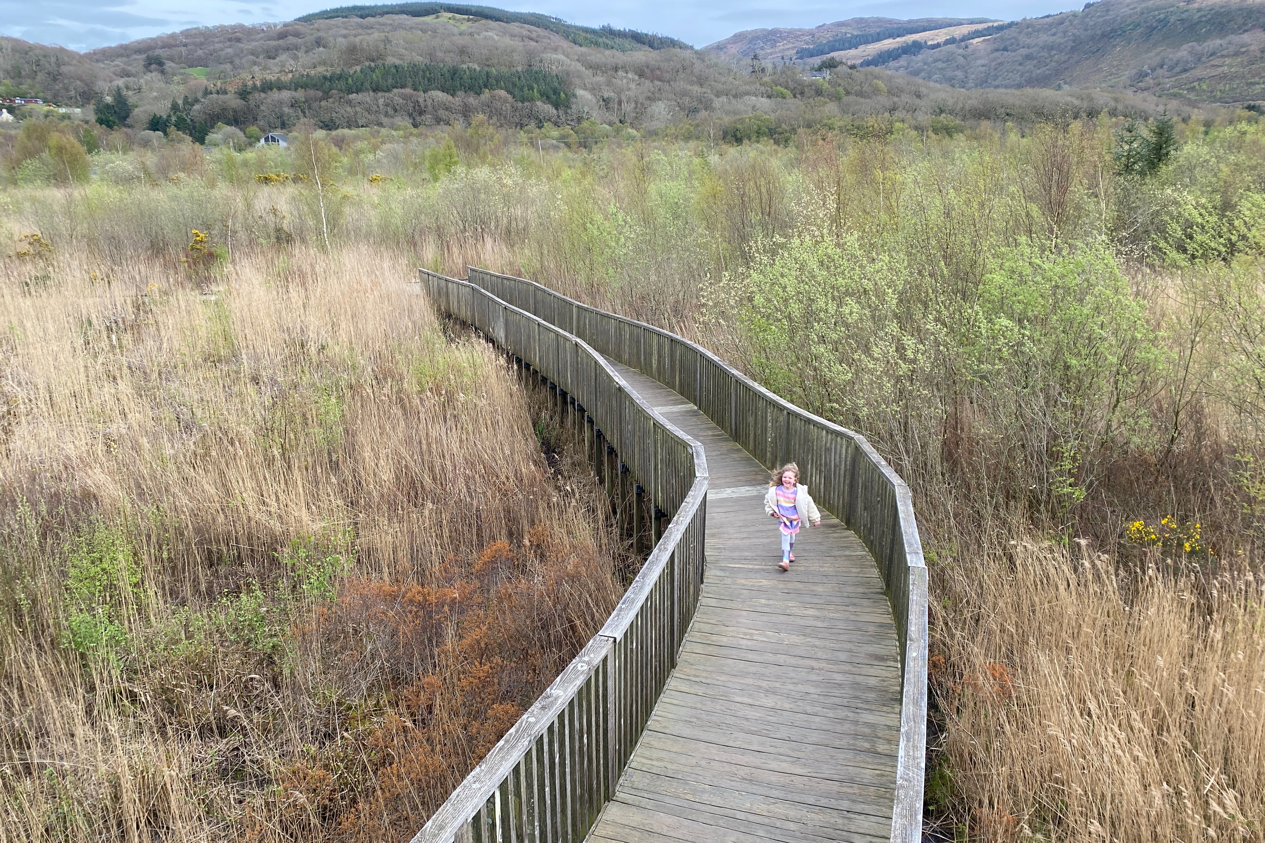Writer Nick Willis' daughter walks along a boardwalk in Dyfi Osprey Project in Eryri national park (Nick Willis)