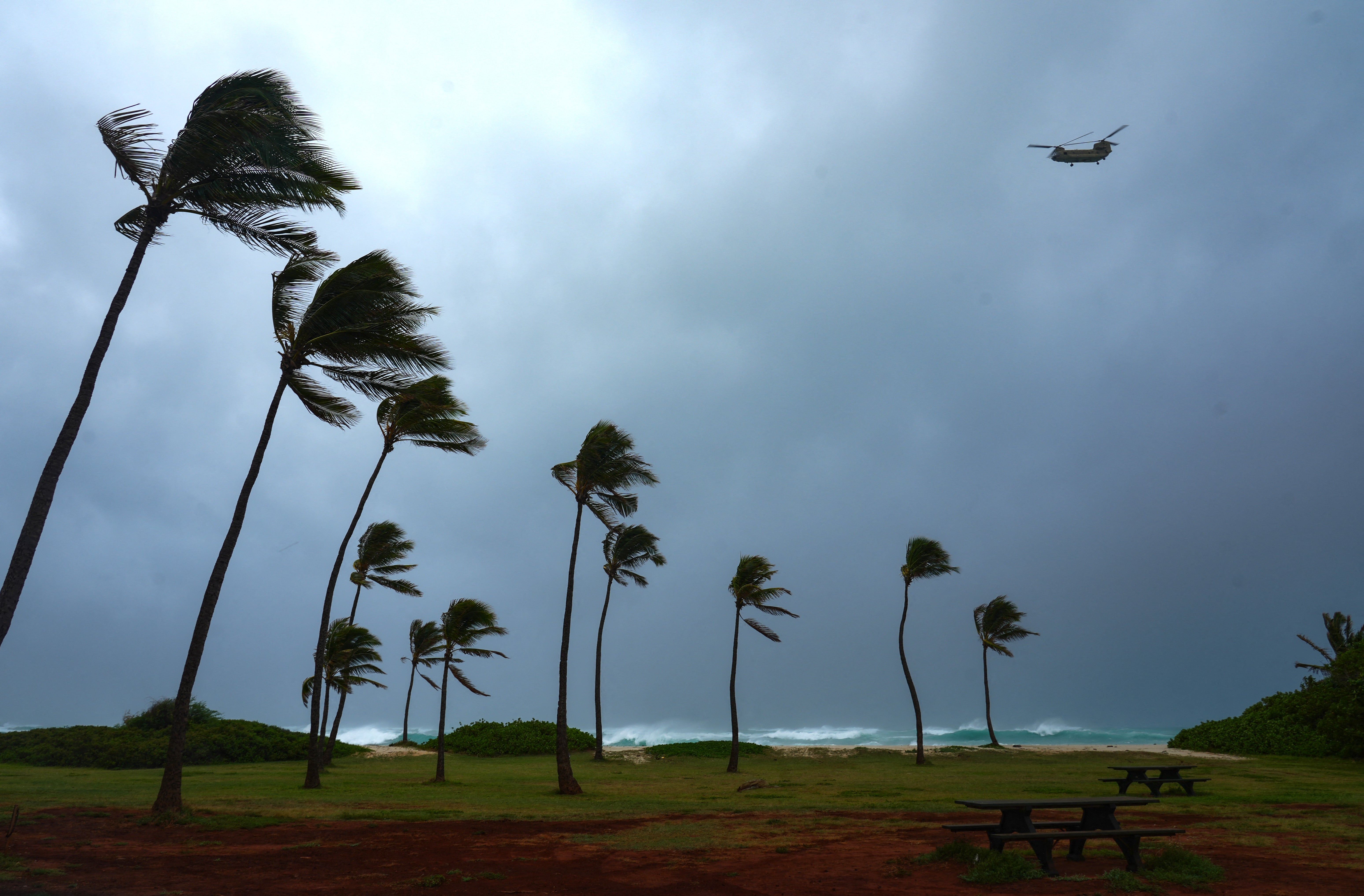 Palm trees bend from strong winds as an CH-47 Chinook helicopter flies over Barbers Point in Kapolei, Hawaii