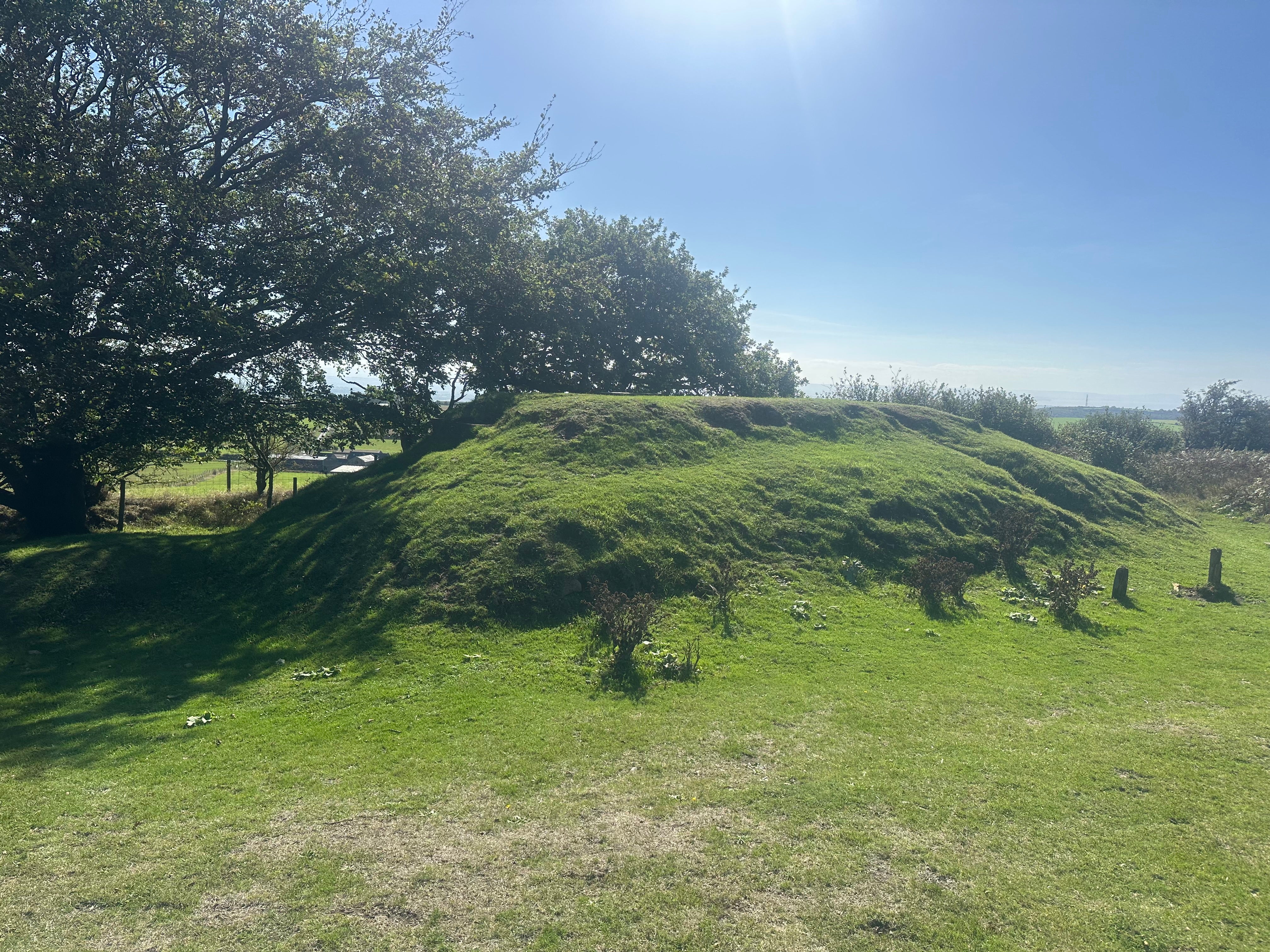 The bunker at the Black Down site is now covered in vegetation