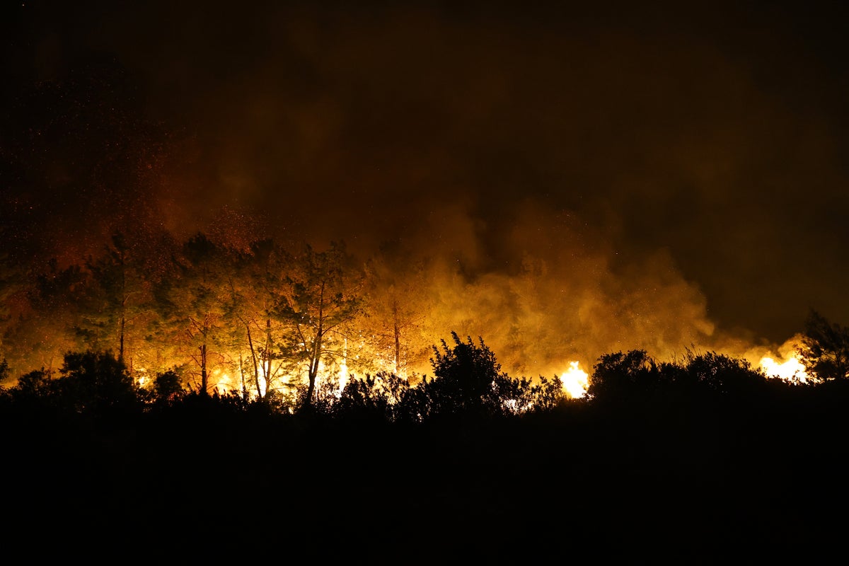 Volunteer firefighter dies in Turkey while tackling wildfire, 8 people injured