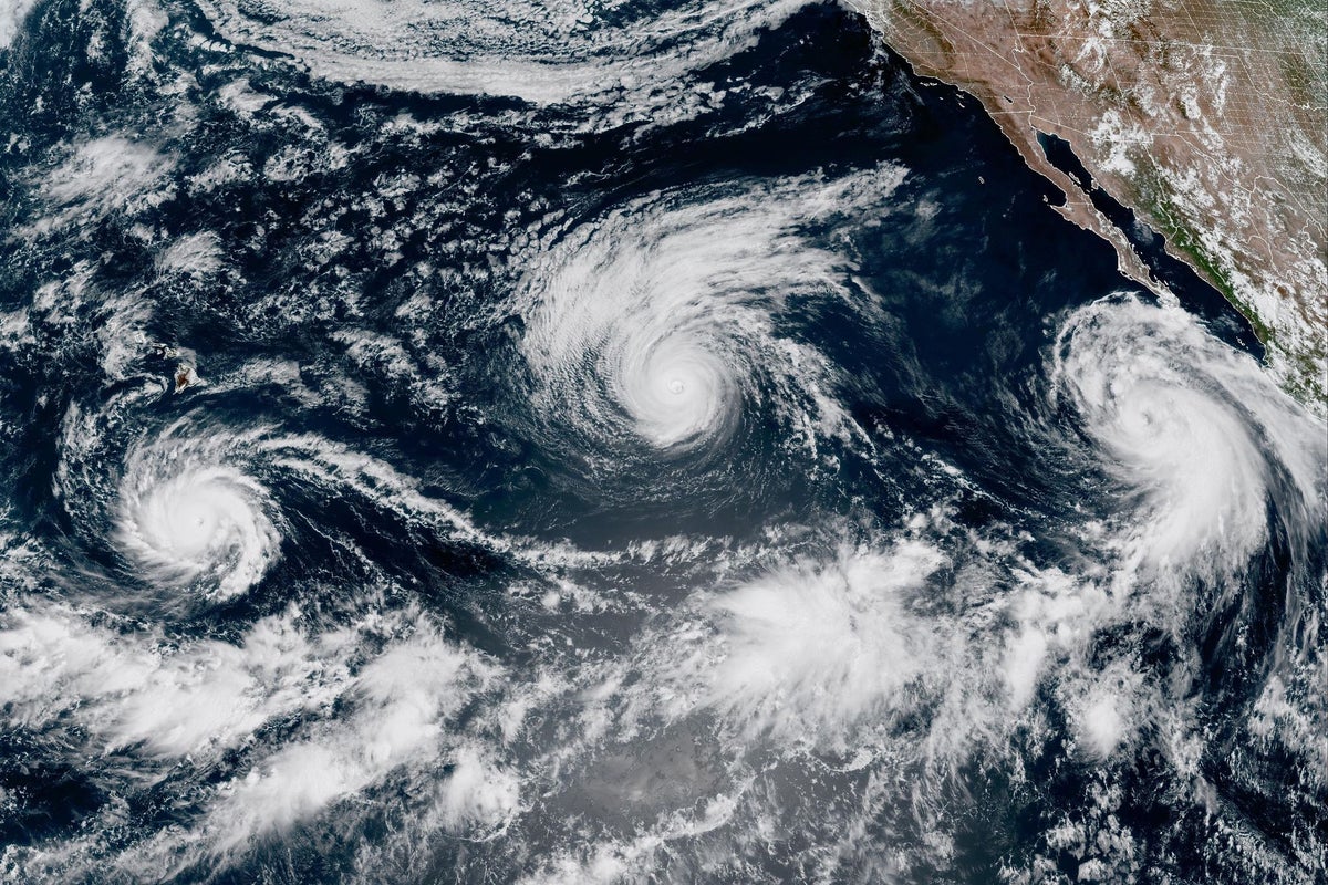 Strengthening El Niño Pattern Expected to Influence Global Weather Systems
