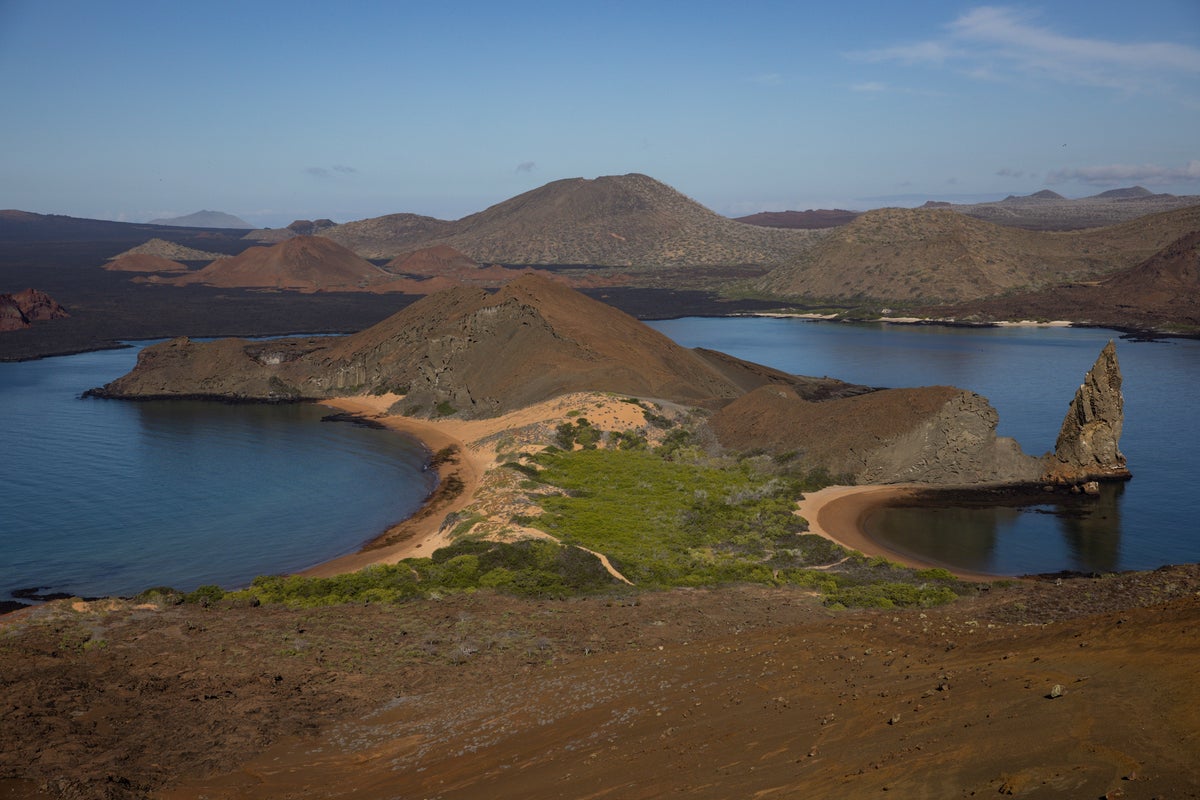 A stronger-than-normal El Nino alarms scientists over Gal&aacute;pagos wildlife and forests