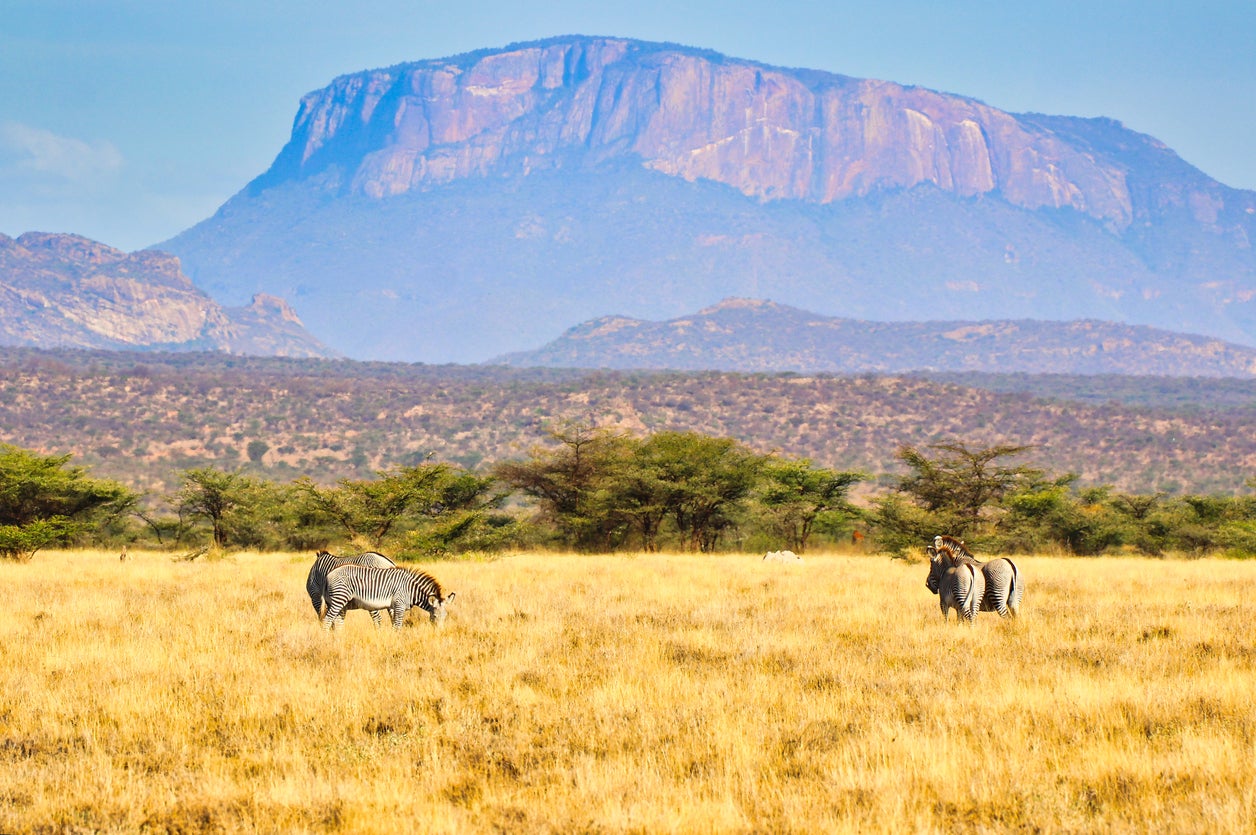 Samburu National Reserve, Kenya