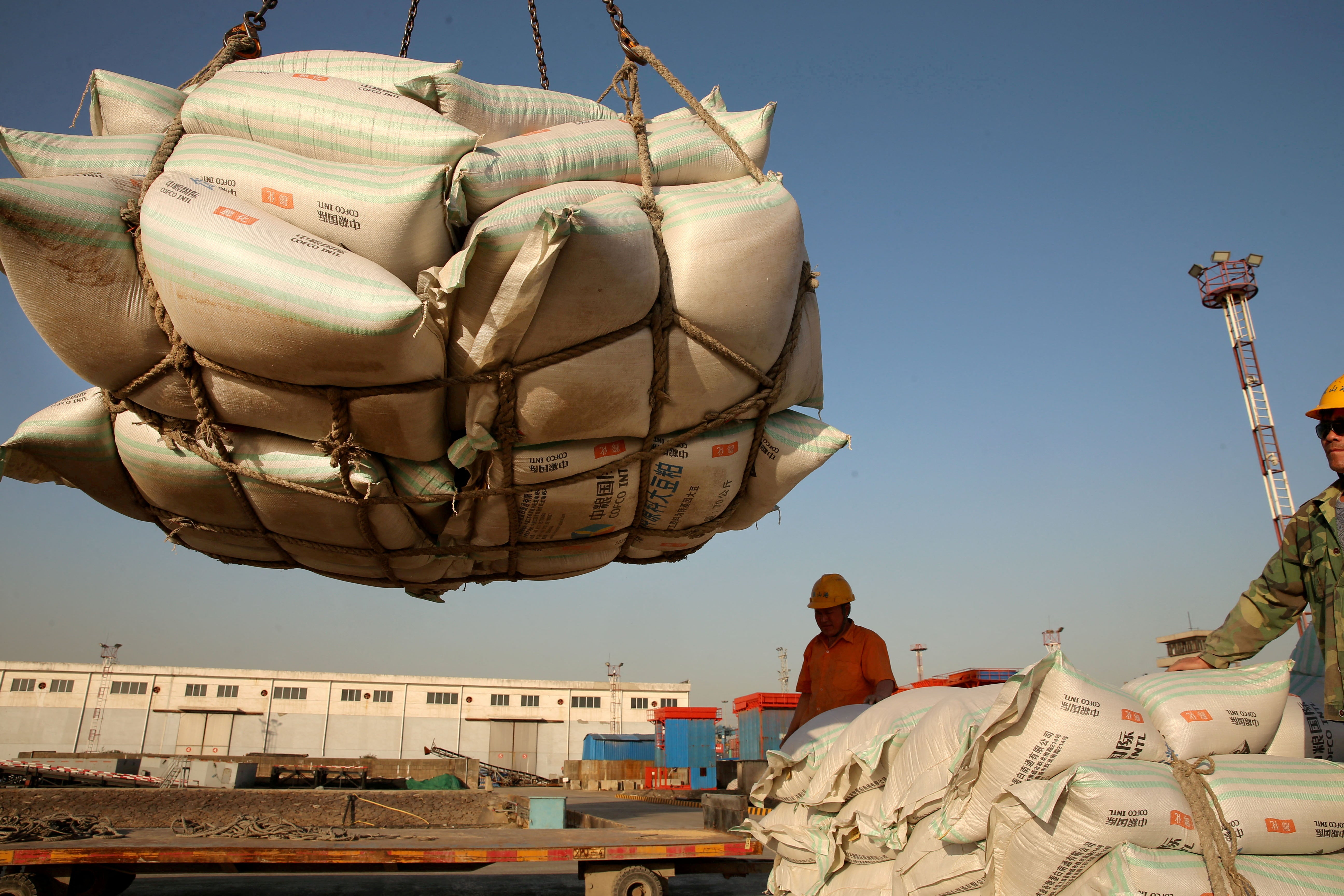 China snaps up 1 million tons of American soybeans in massive trade surge ahead of Xi Jinping visit to Washington