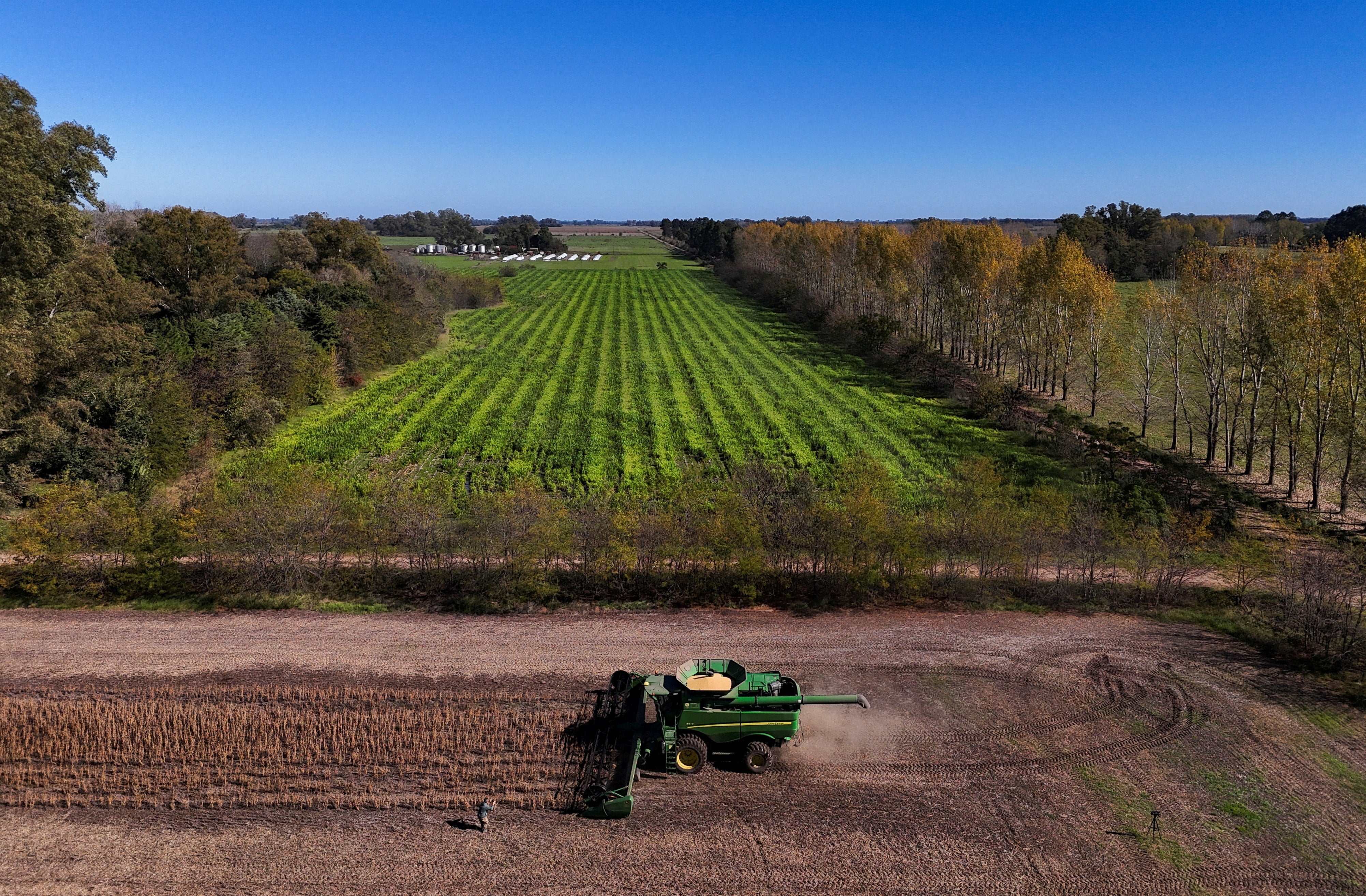 A harvester works on a soybean plantation on the outskirts of Buenos Aires, Argentina