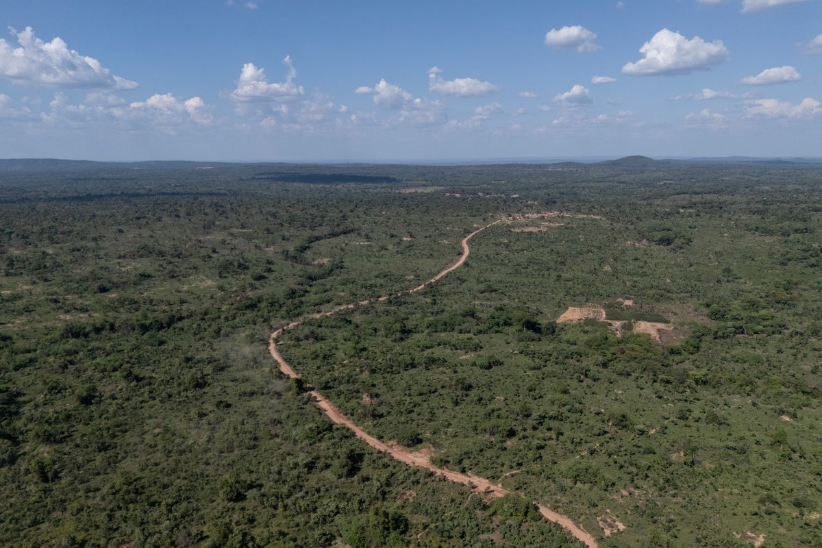 Mining for minerals in the Congo could help save the rainforest, former minister says
