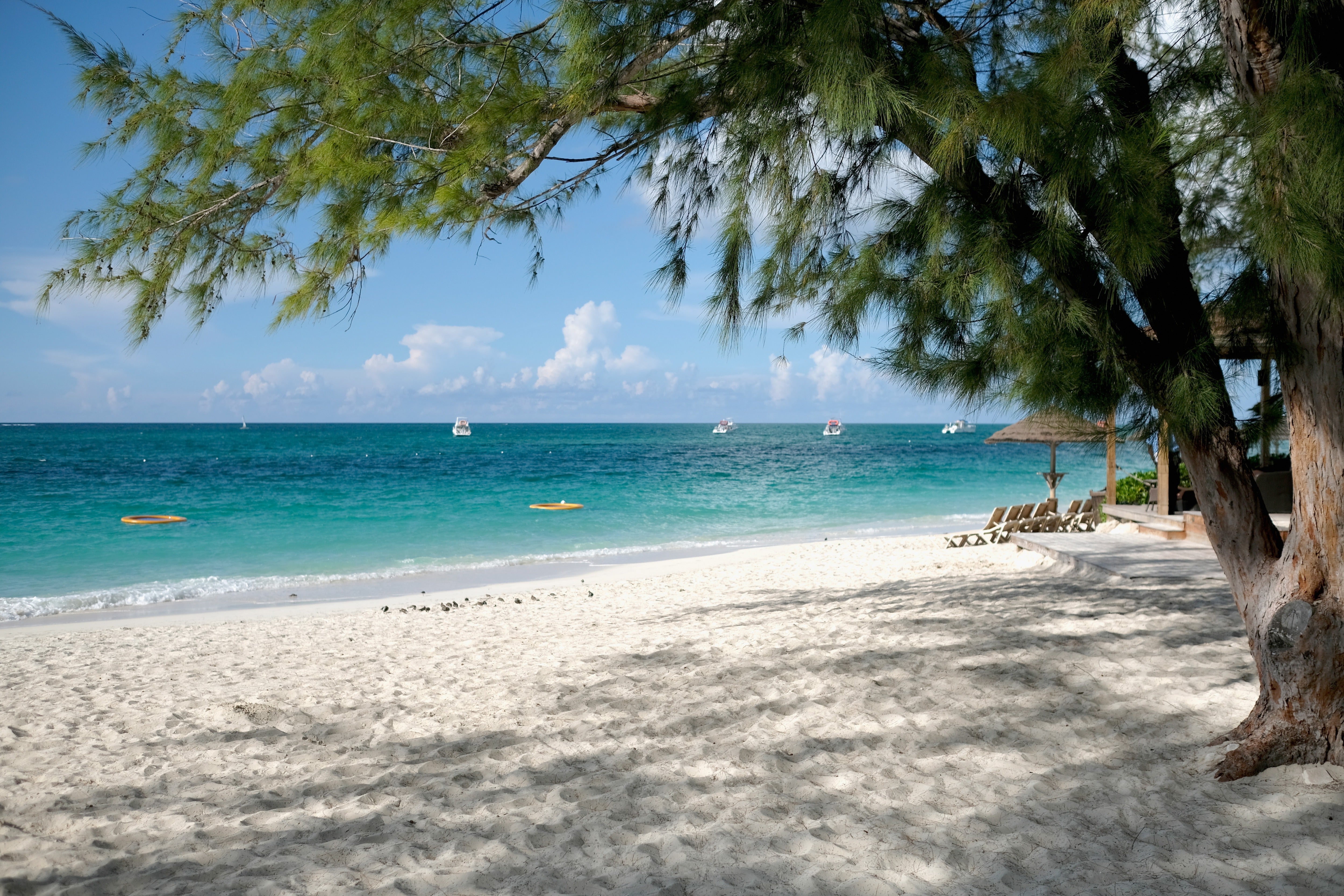 Club Med guest Yvonne Martin says in her lawsuit that she was told by a sailing instructor to swim 75 feet back to shore, during which time she claims she was bitten by a shark