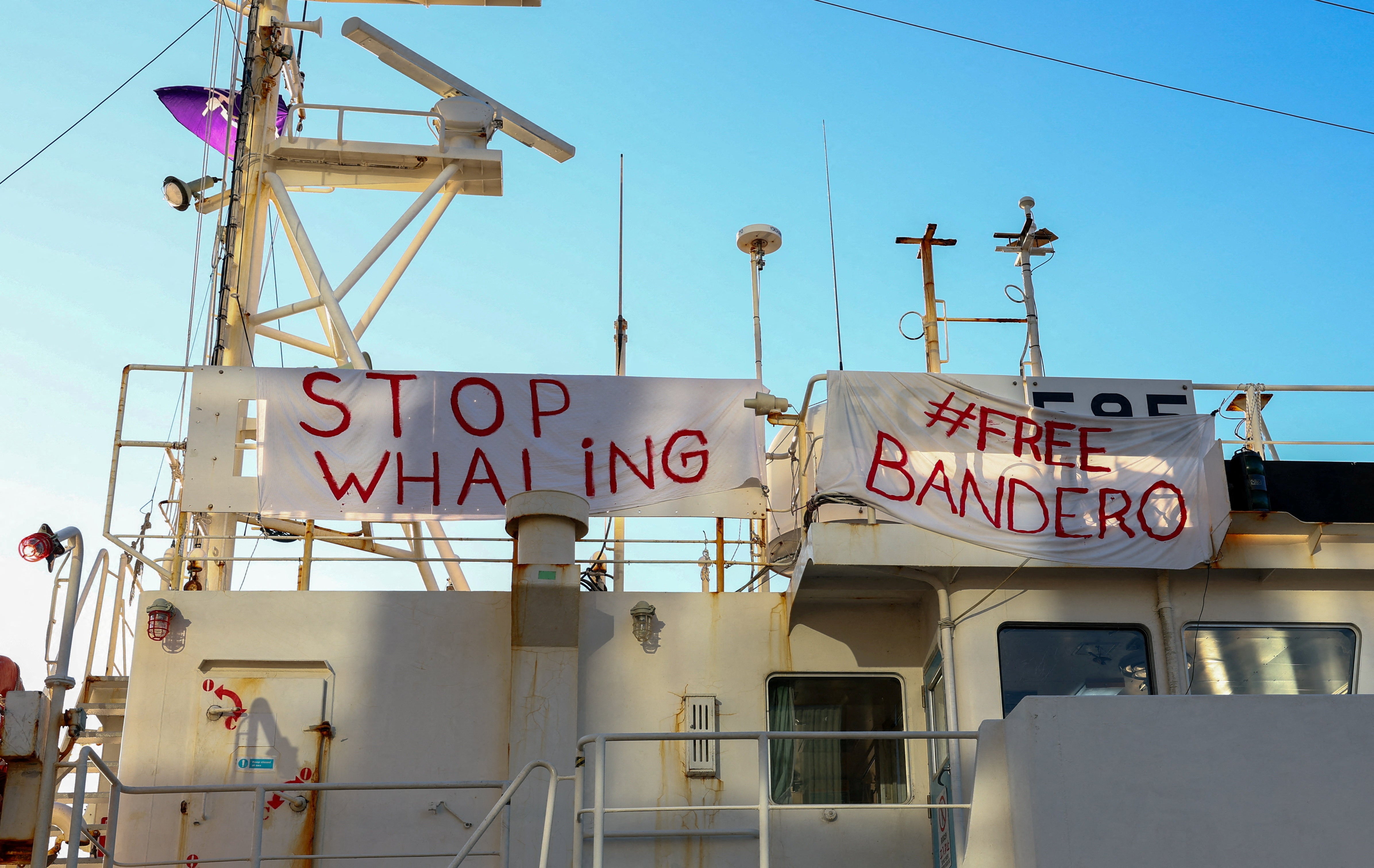 The Bandero boat operated by the Captain Paul Watson Foundation, that was intercepted on July 30, 2026, by the Icelandic Coast Guard for disrupting commercial fin whaling, in Reykjavik, Iceland, August 10, 2026