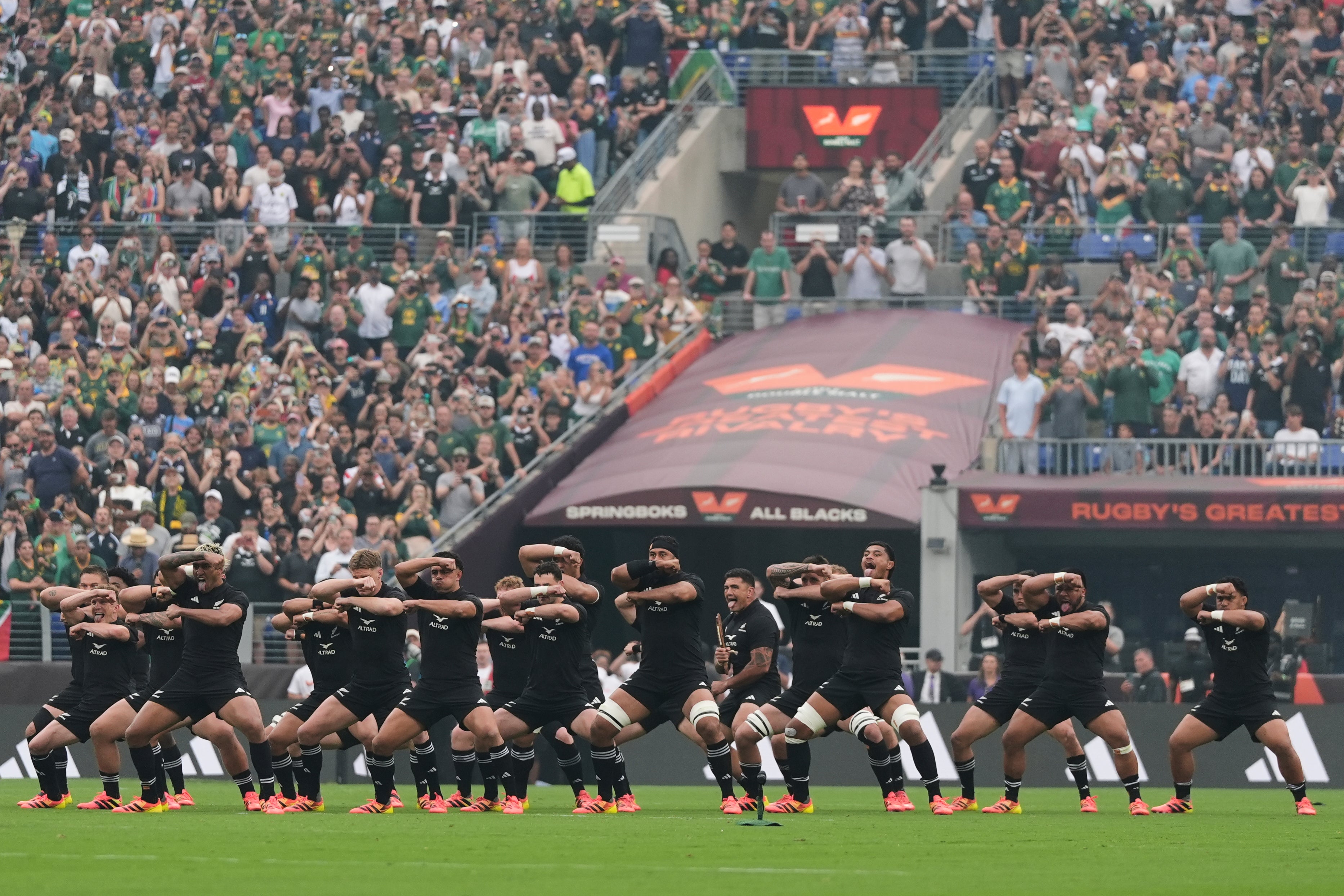New Zealand have shown encouraging signs under Dave Rennie (AP)