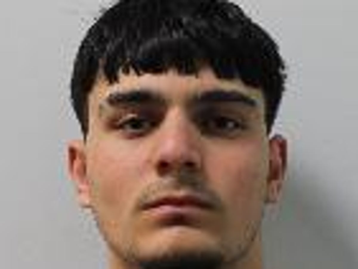 Afghan refugee pleads guilty to London murder of Sherzad