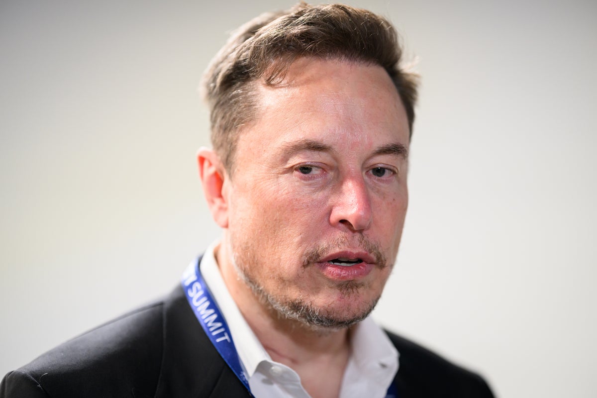Elon Musk’s former DOGE employees working on AI passport renewal and tax-filing website