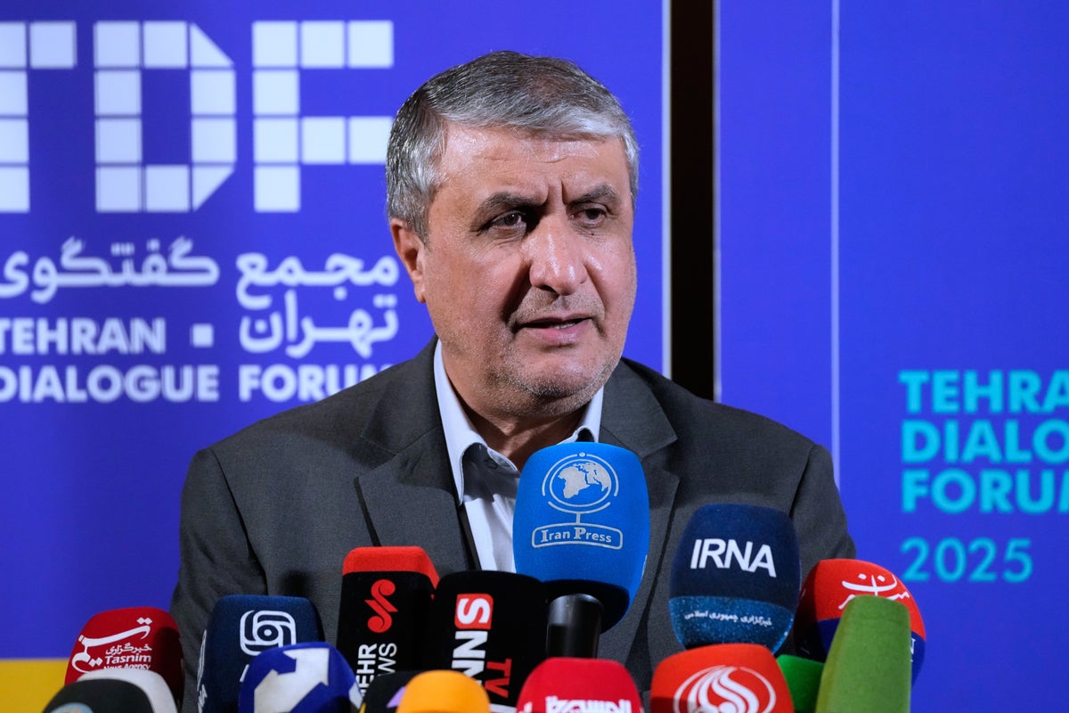 Iran's nuclear chief not expected to attend IAEA General Conference, official says