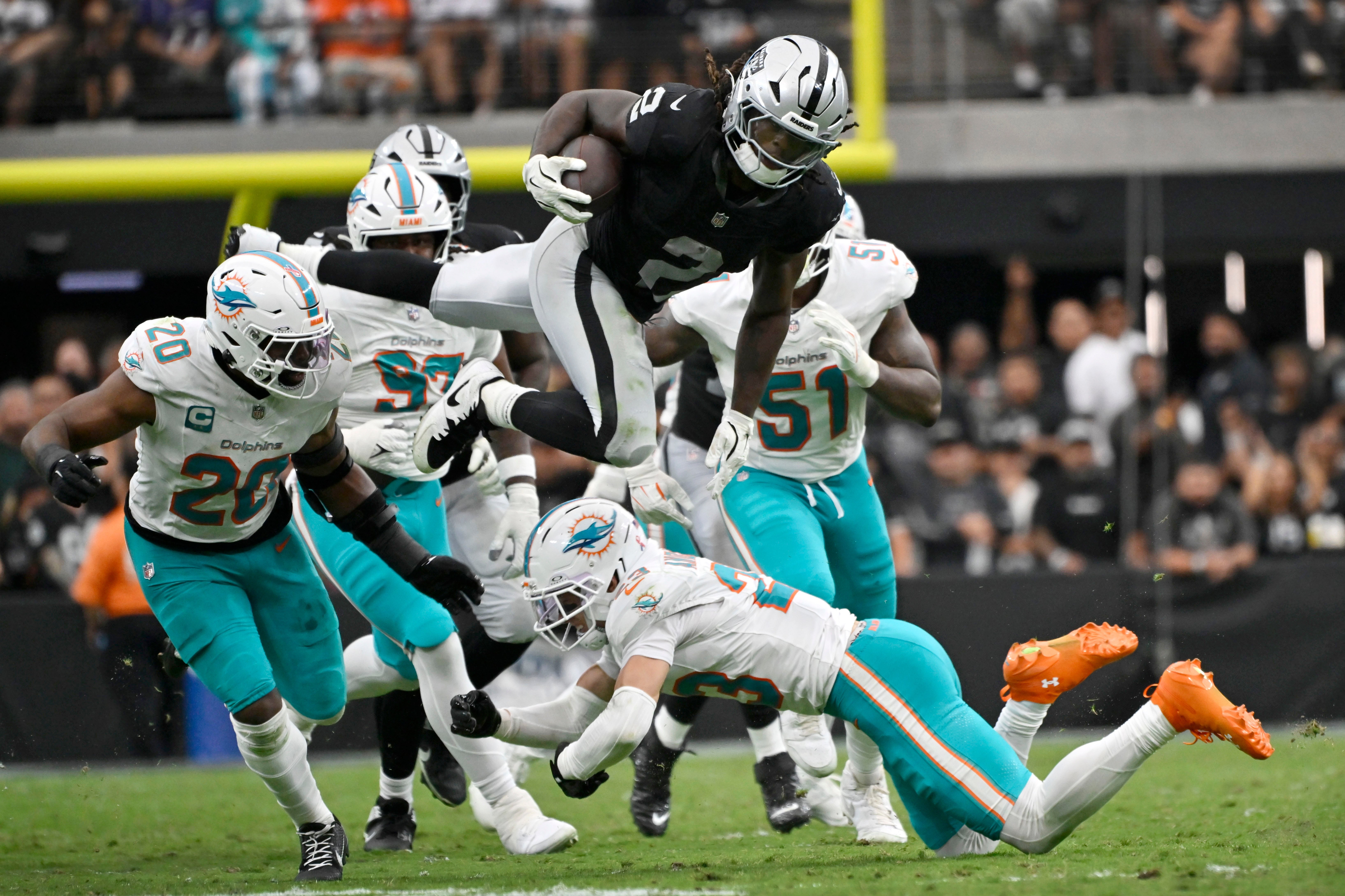 DOLPHINS-RAIDERS