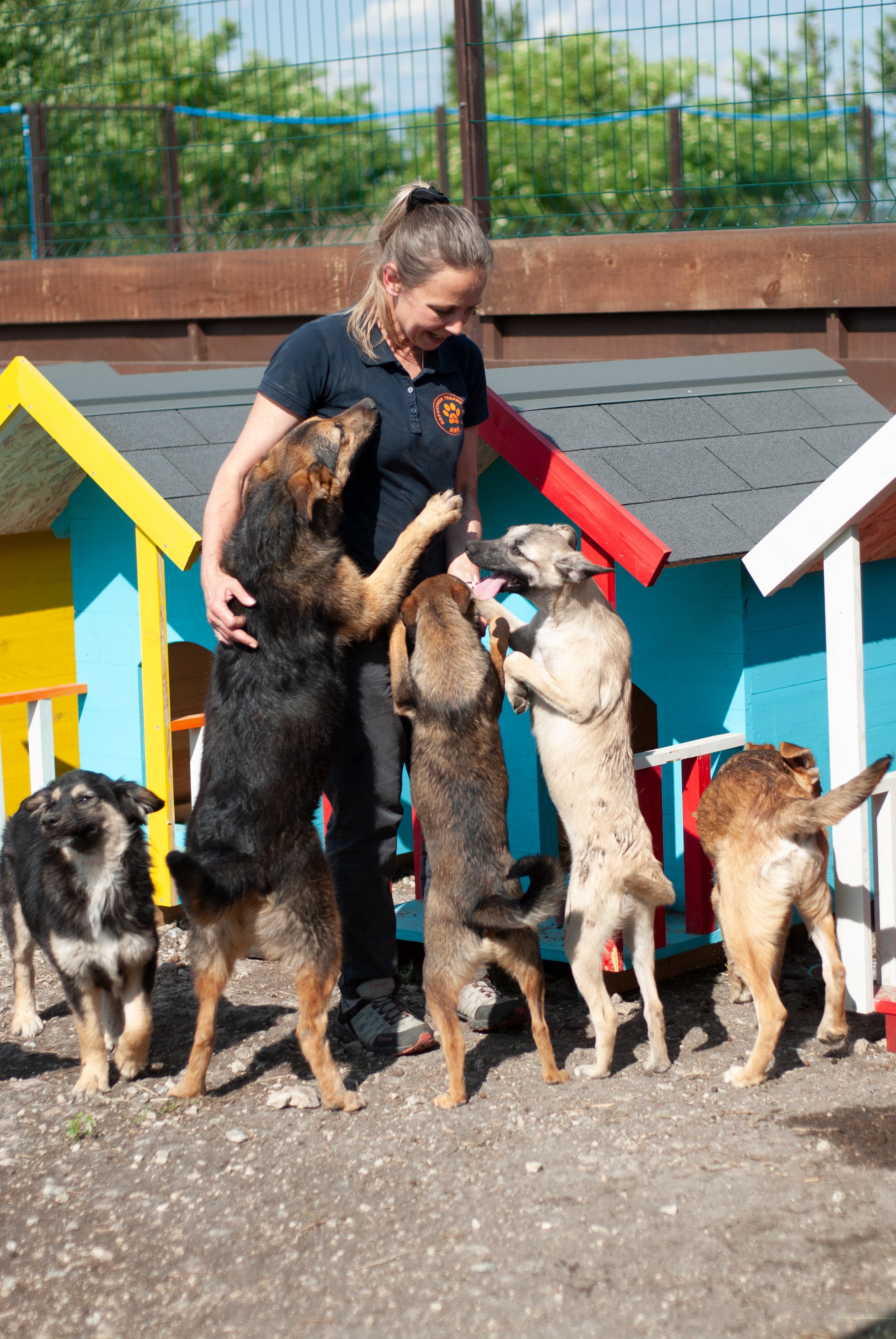 The animals are taken for veterinary care and other support before the organisation finds them a new home