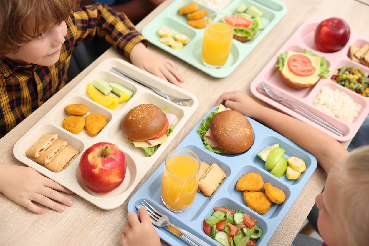 independent.co.uk - Ellie Ng - Ice cream and deep-fried food banned from UK school dinners in healthy overhaul