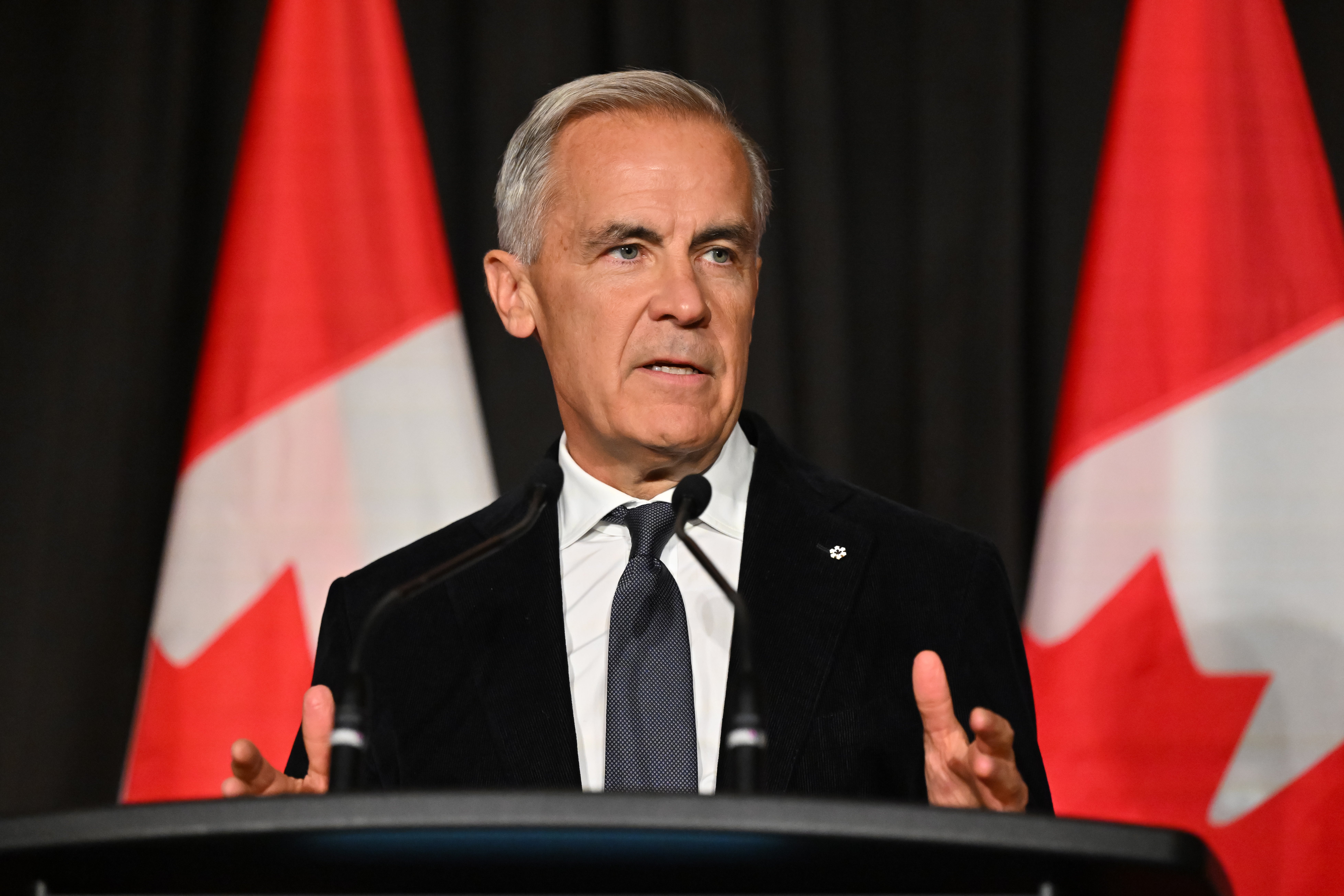 Canada's Prime Minister Mark Carney said Canada was seeking a ’unique alliance’ with the EU but not membership
