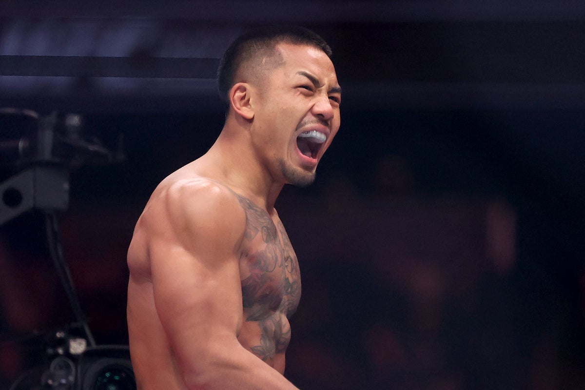 When is the next UFC event?