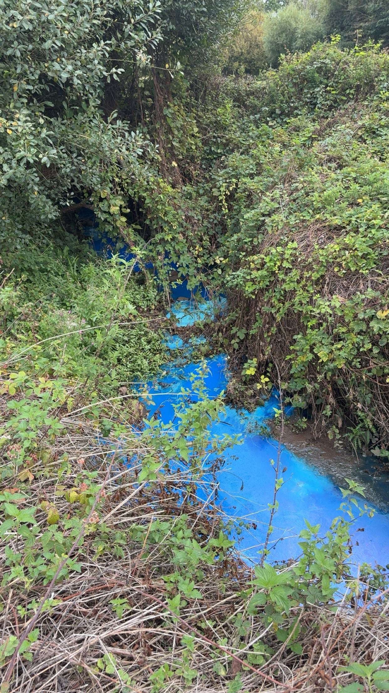 &lsquo;Do not swim&rsquo; warning issued after pollutant turns river bright blue