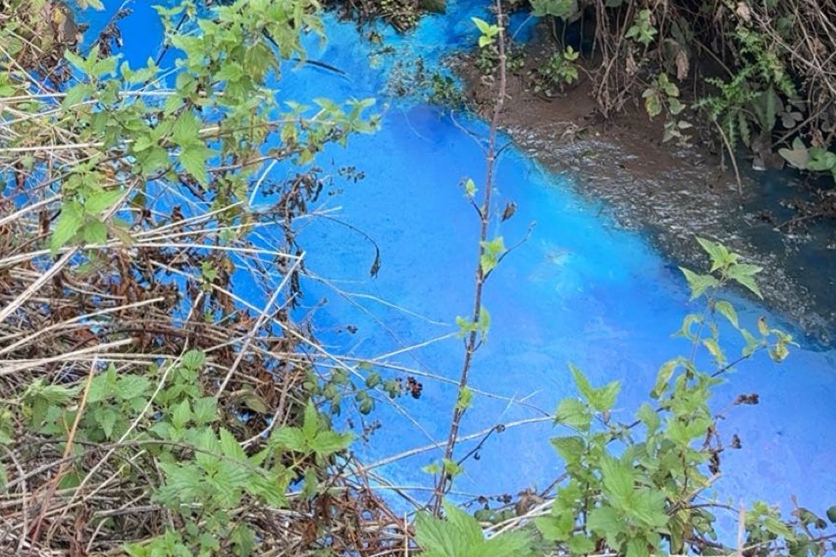Polluted Devon river turns fluorescent blue at beauty spot Polluted Devon river turns fluorescent blue at beauty spot