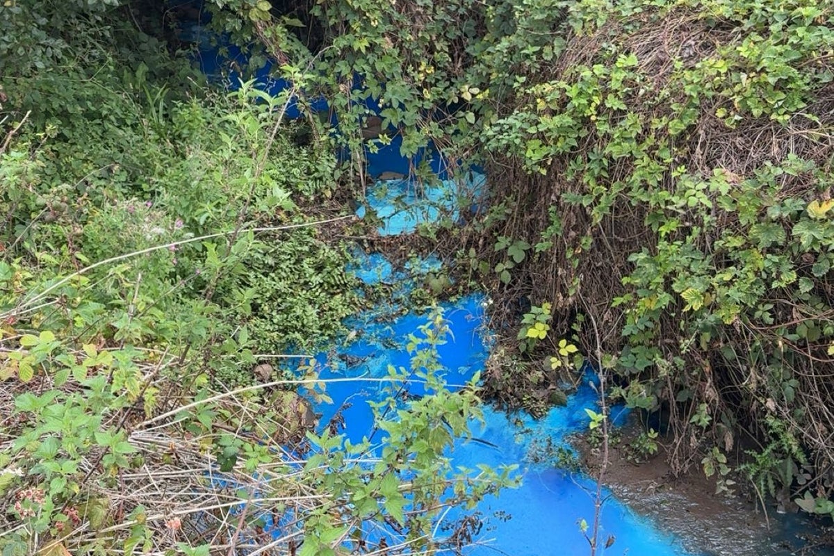 ‘Do not swim’ warning issued after pollutant turns river bright blue ‘Do not swim’ warning issued after pollutant turns river bright blue