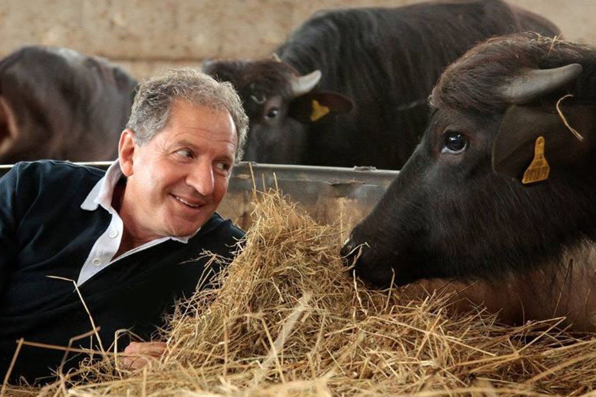 Formula One champion Jody Scheckter loses £1.4m tax battle over failed buffalo farm