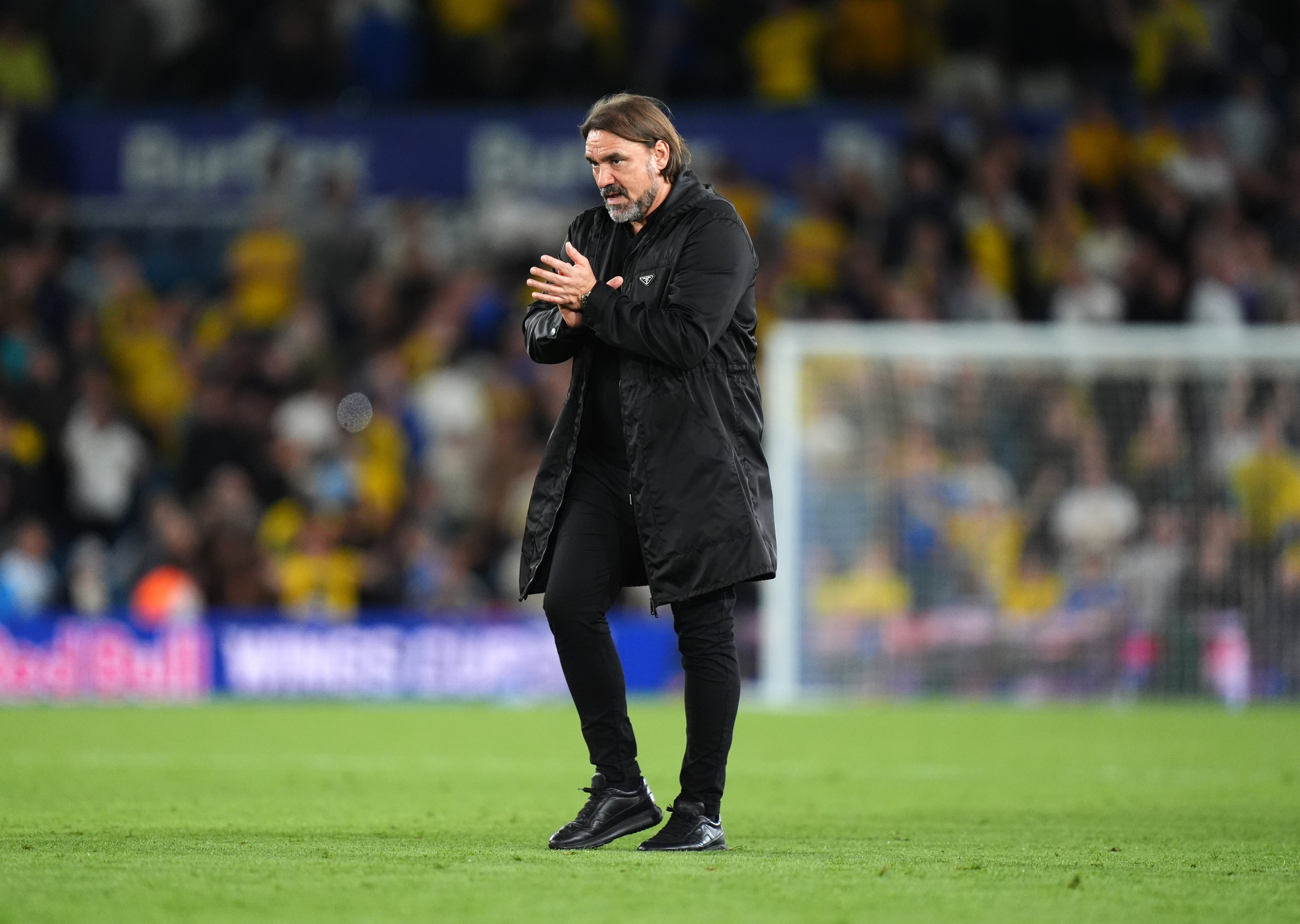 Daniel Farke has shaped Leeds into a physical team who are more than difficult to beat at home